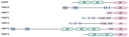 Pathogens 12 00457 g001