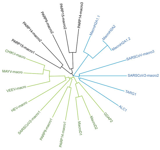 Pathogens 12 00457 g002