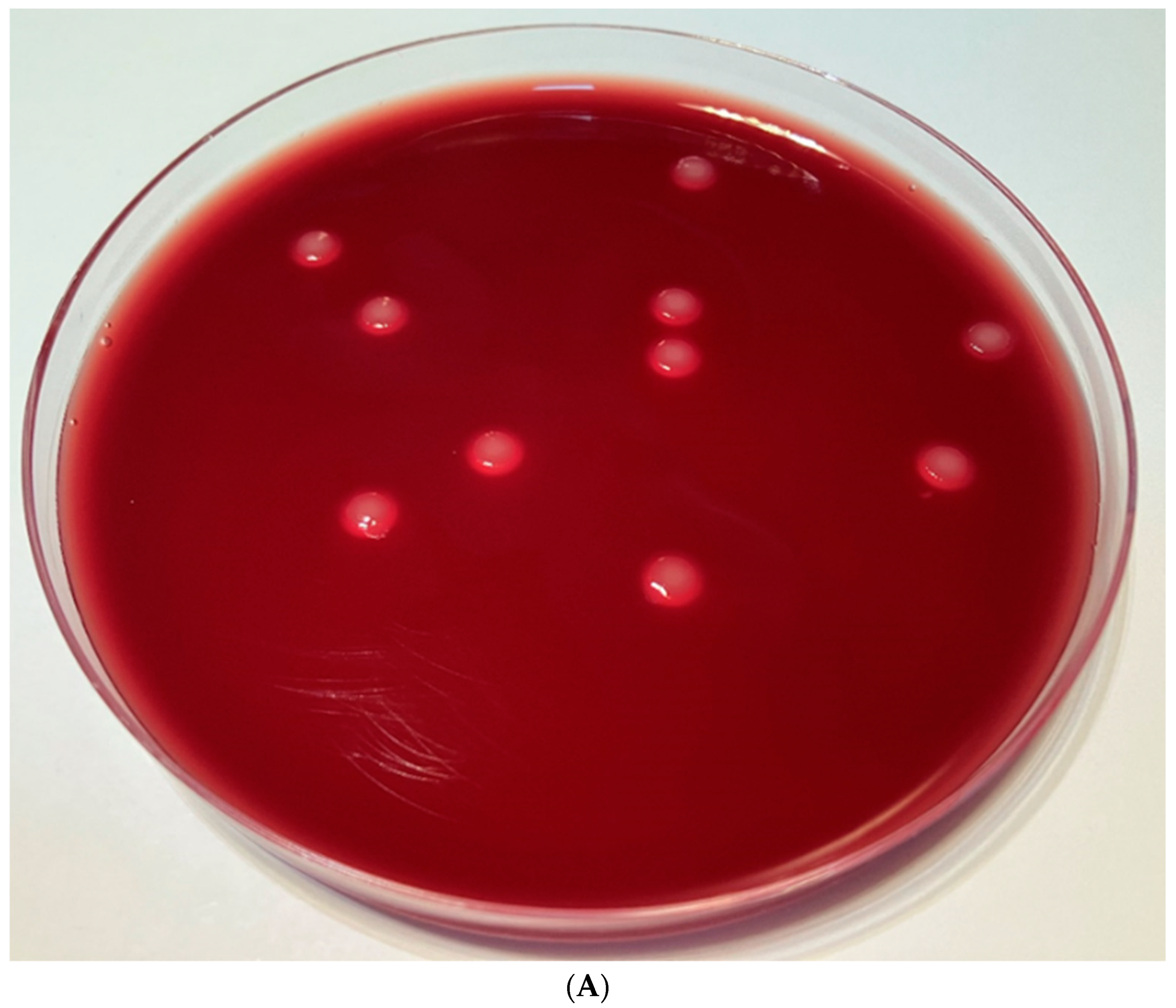 Pathogens 12 00458 g004a Pathogens 12 00458 g004a