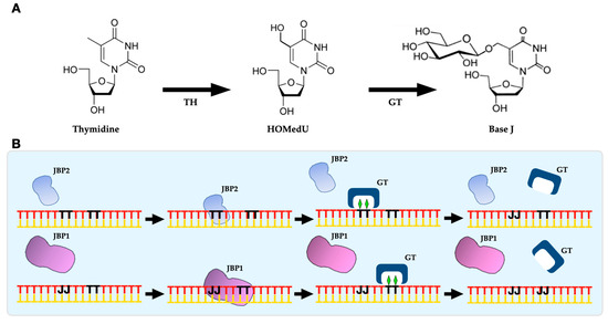 Pathogens 12 00467 g001