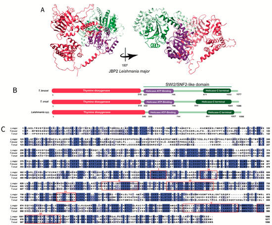 Pathogens 12 00467 g003
