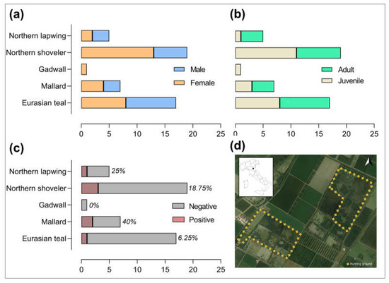 Pathogens 12 00478 g001