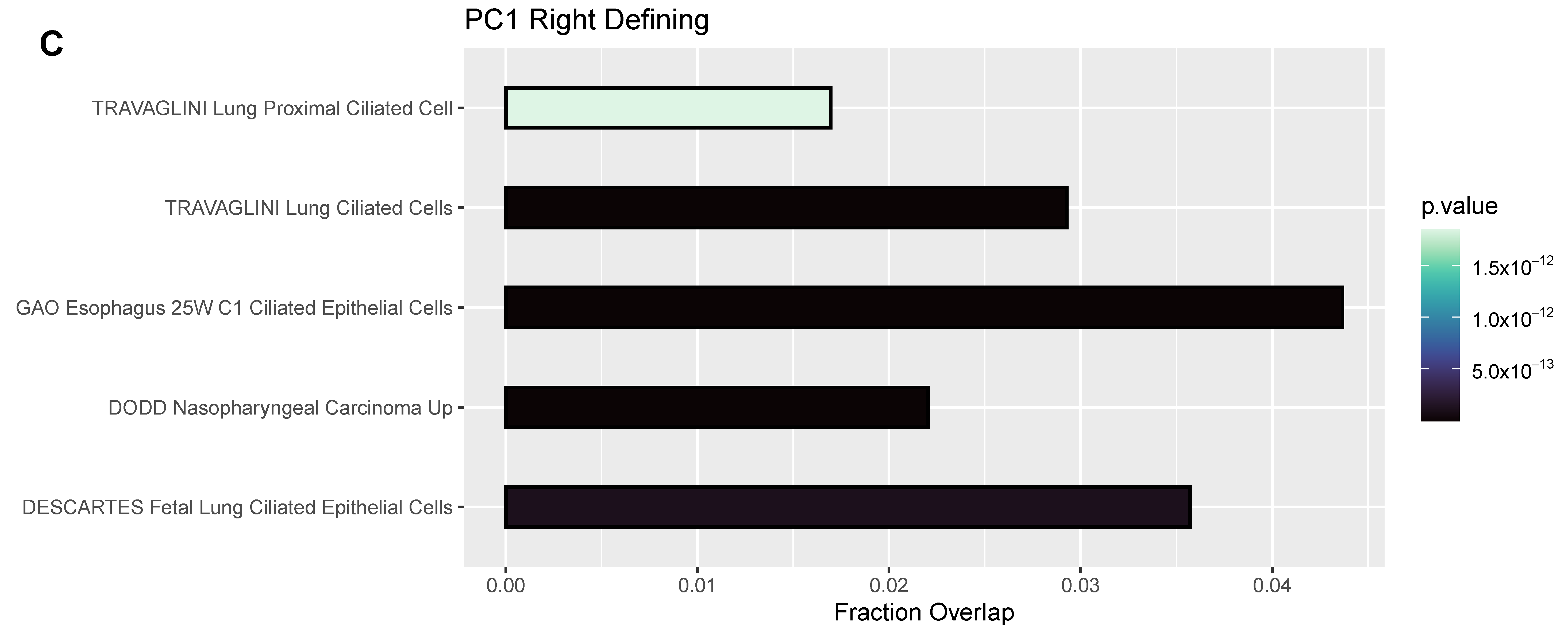 Pathogens 12 00480 g005c Pathogens 12 00480 g005c