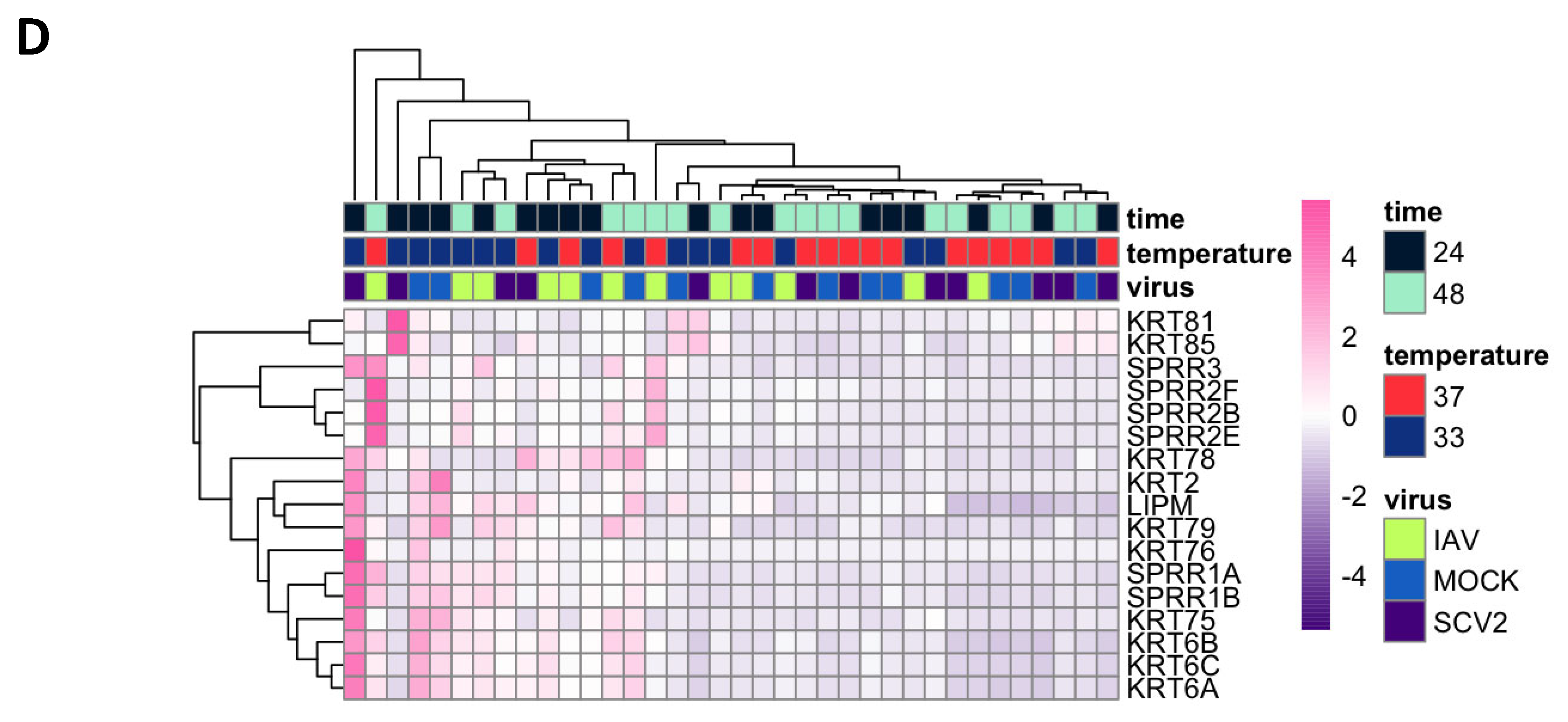 Pathogens 12 00480 g006d Pathogens 12 00480 g006d