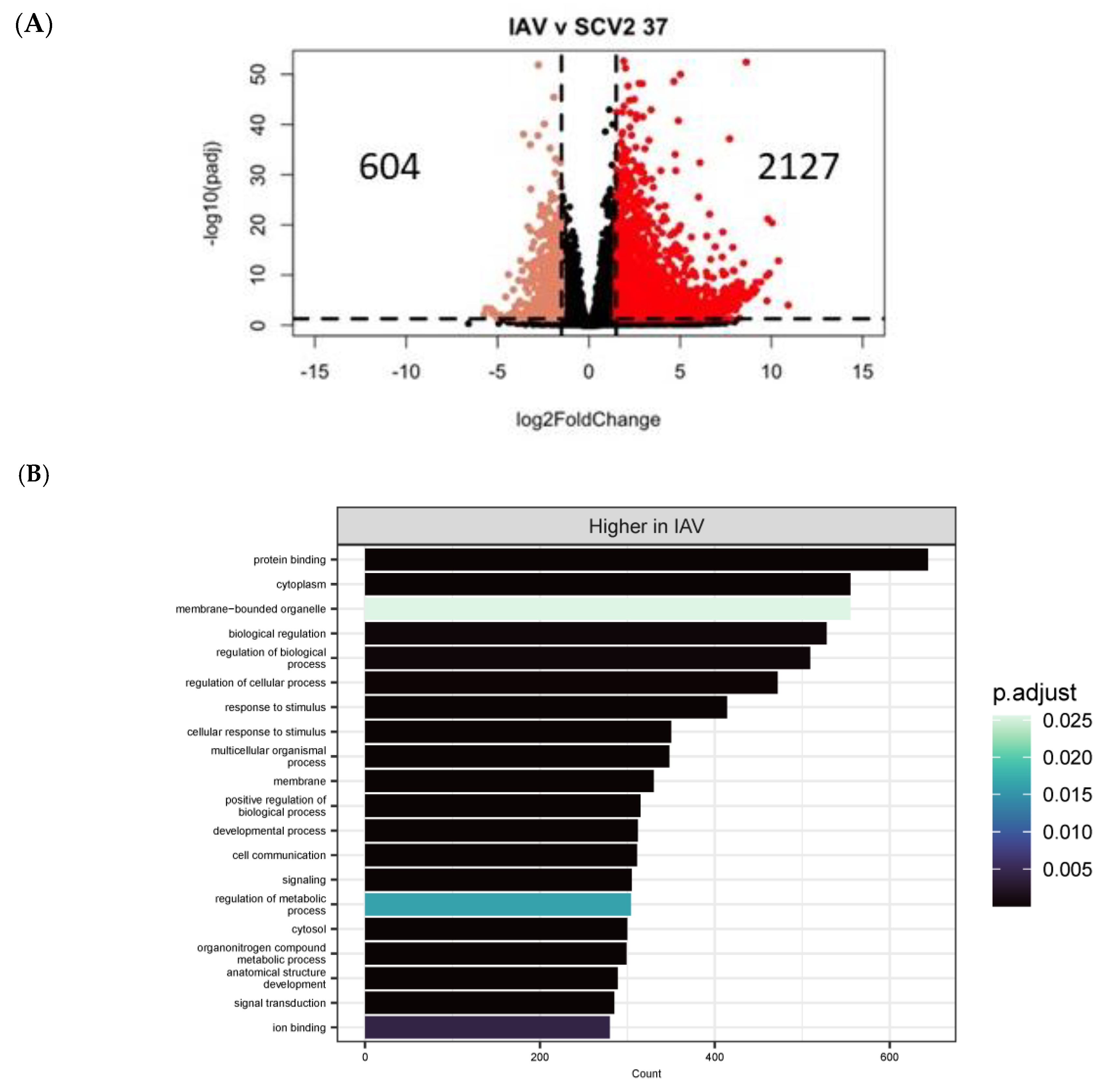 Pathogens 12 00480 g010a Pathogens 12 00480 g010a
