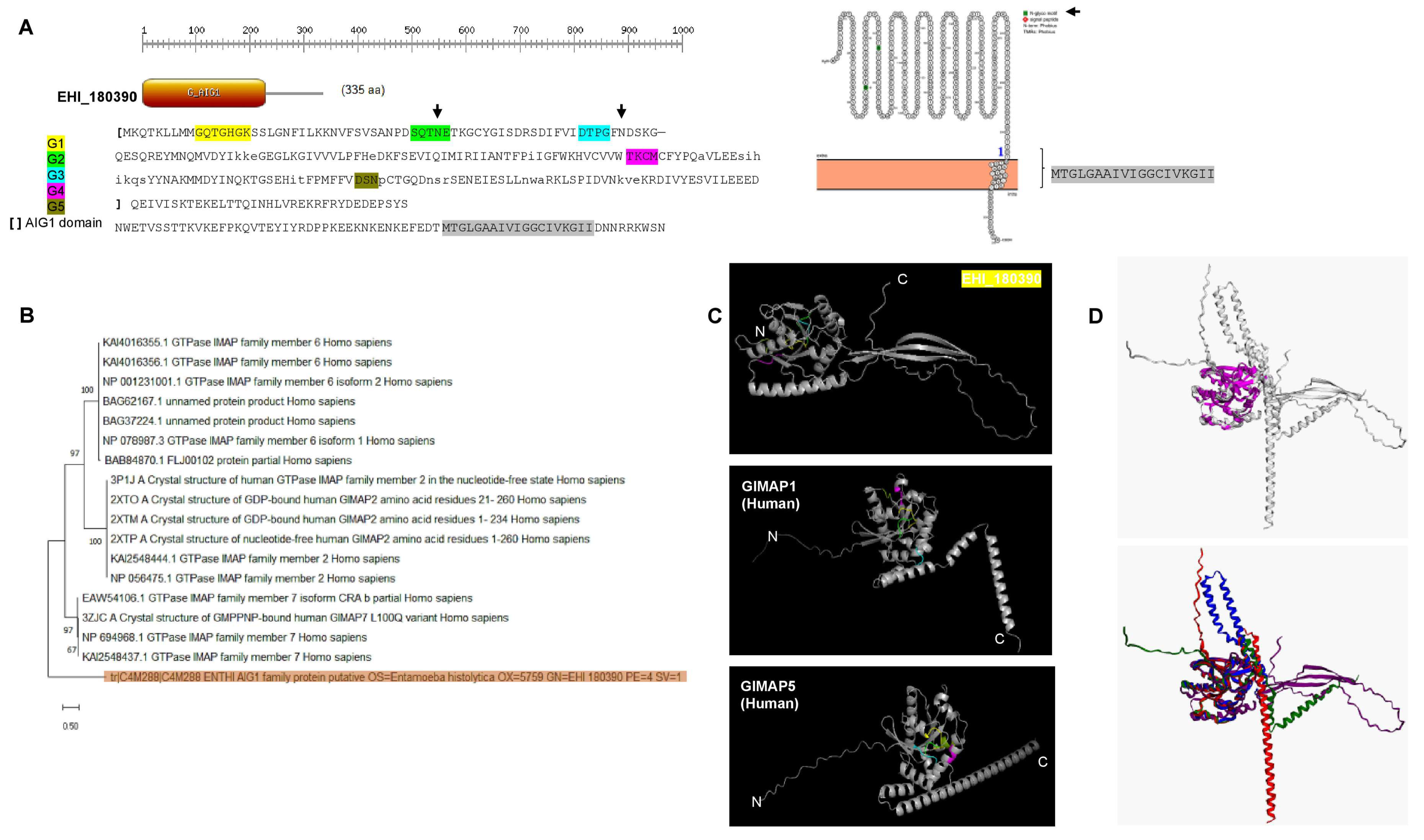 Pathogens 12 00489 g005