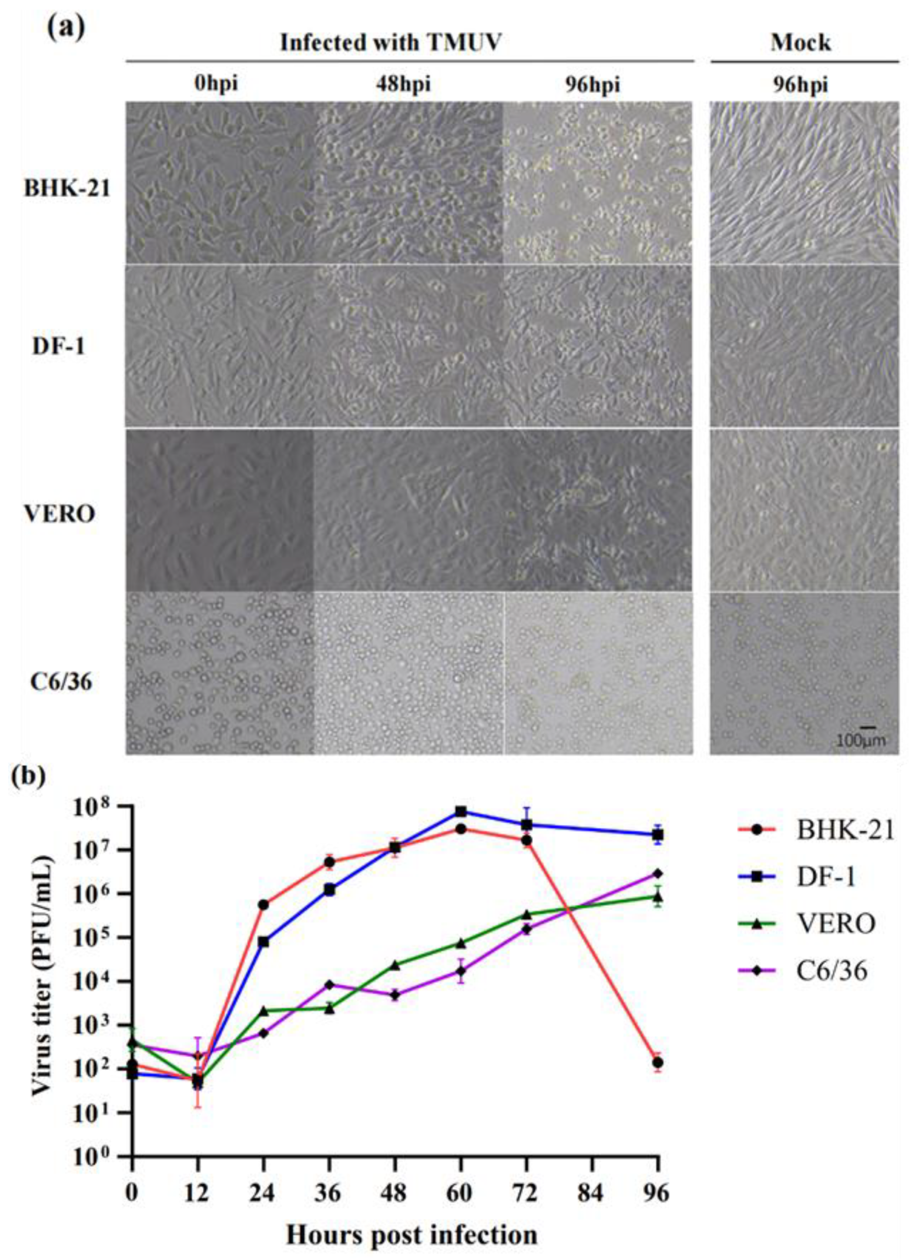 Pathogens 12 00490 g001