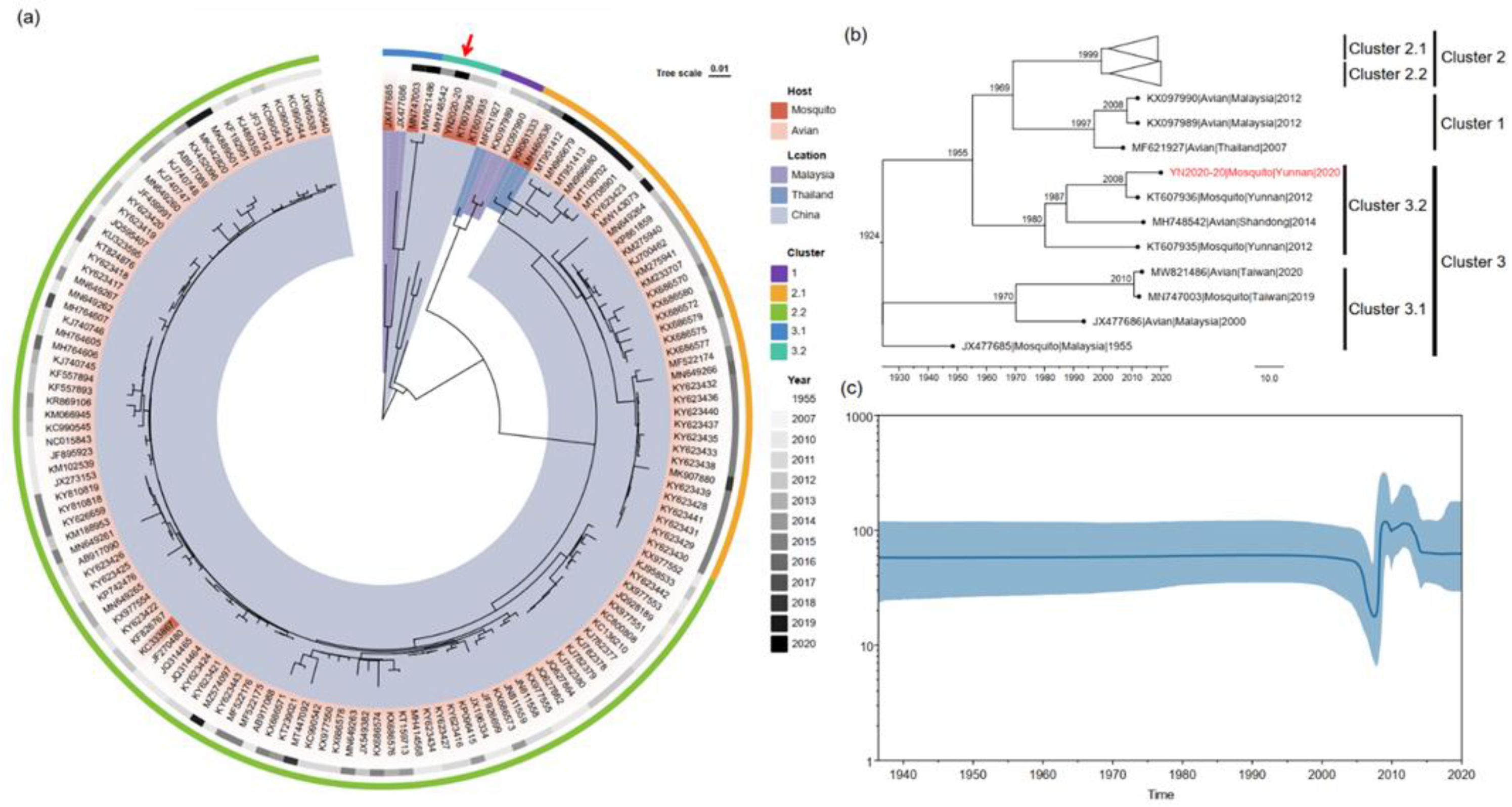 Pathogens 12 00490 g002