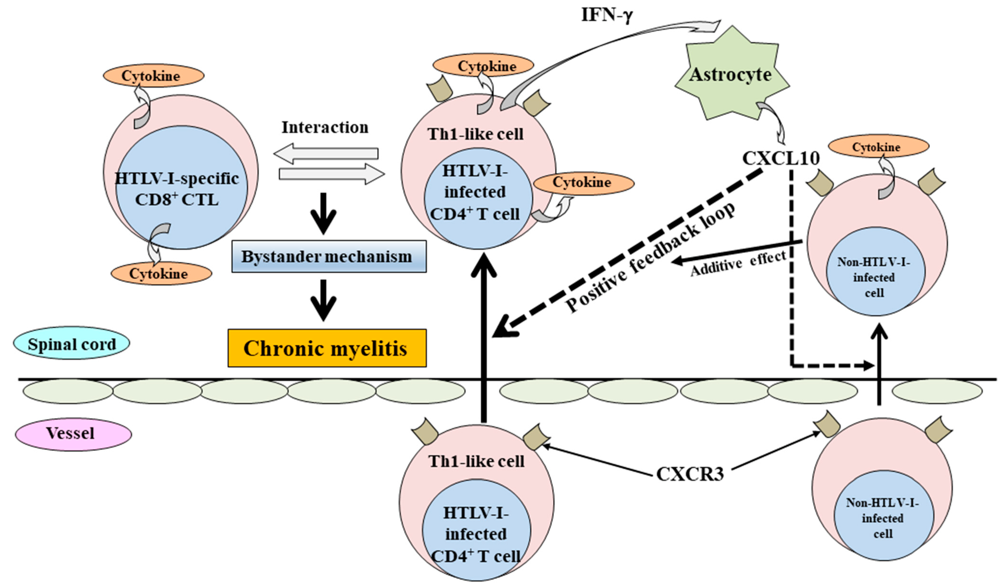 Pathogens 12 00492 g001 Pathogens 12 00492 g001