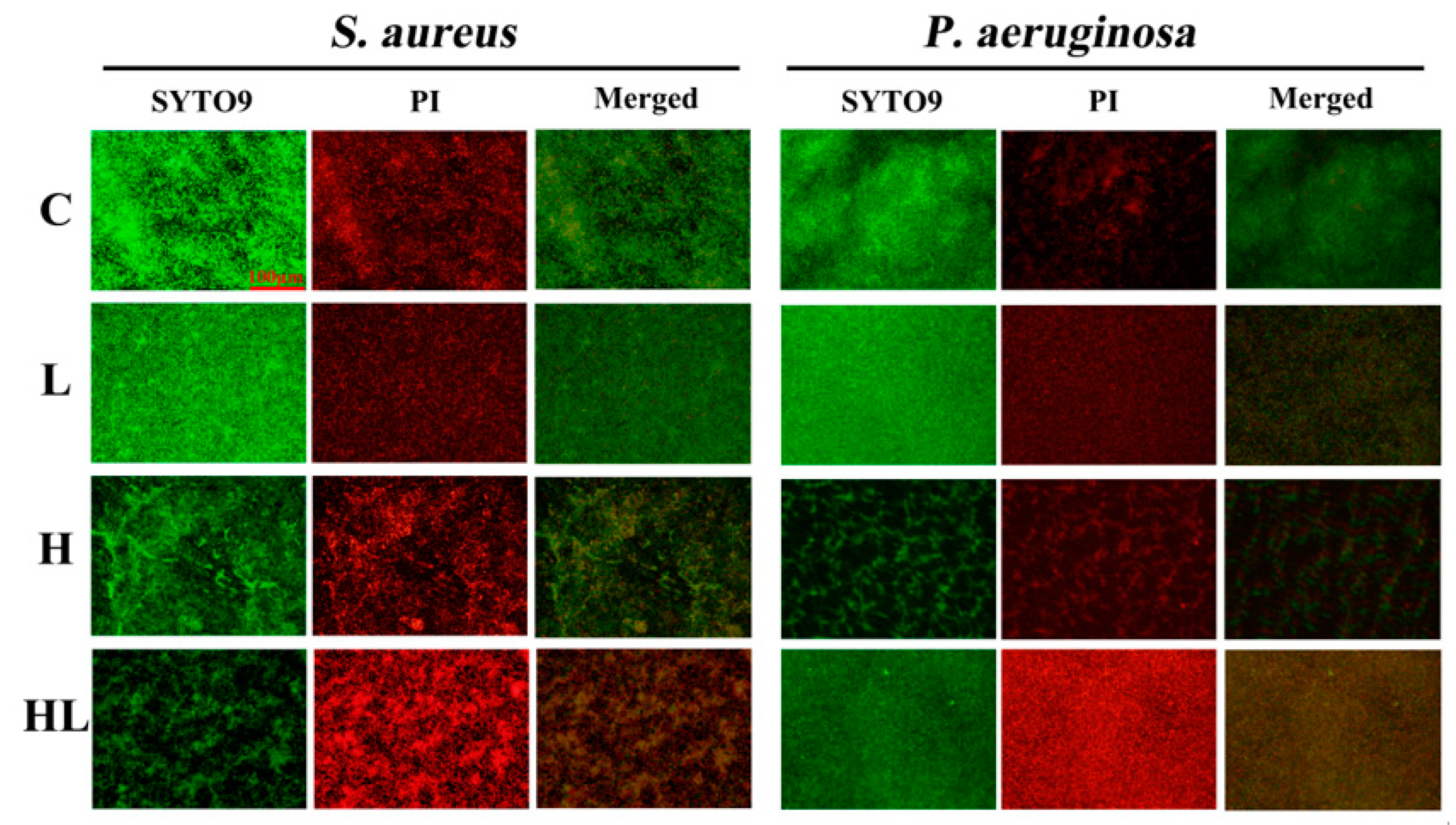 Pathogens 12 00501 g003