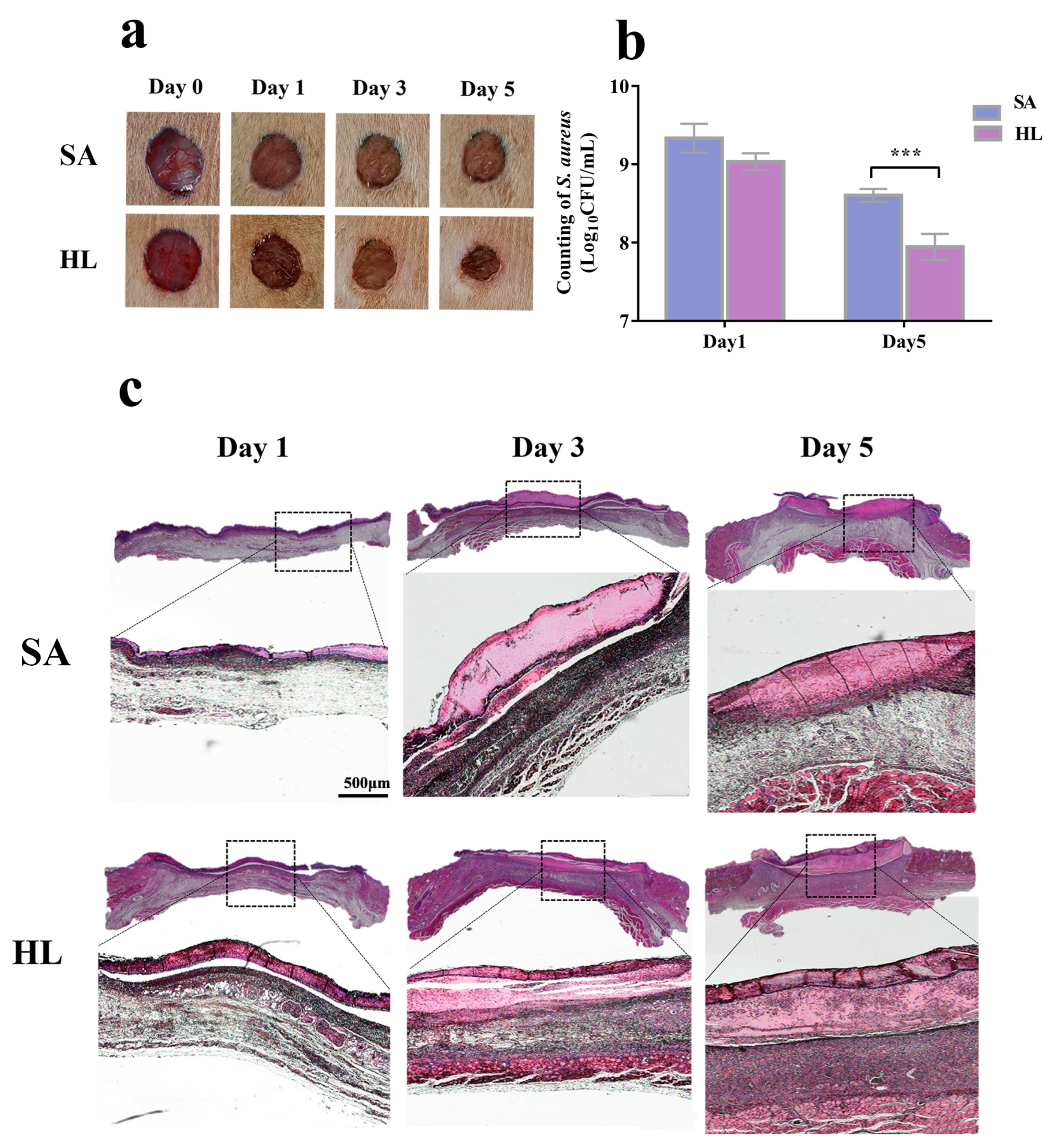 Pathogens 12 00501 g007