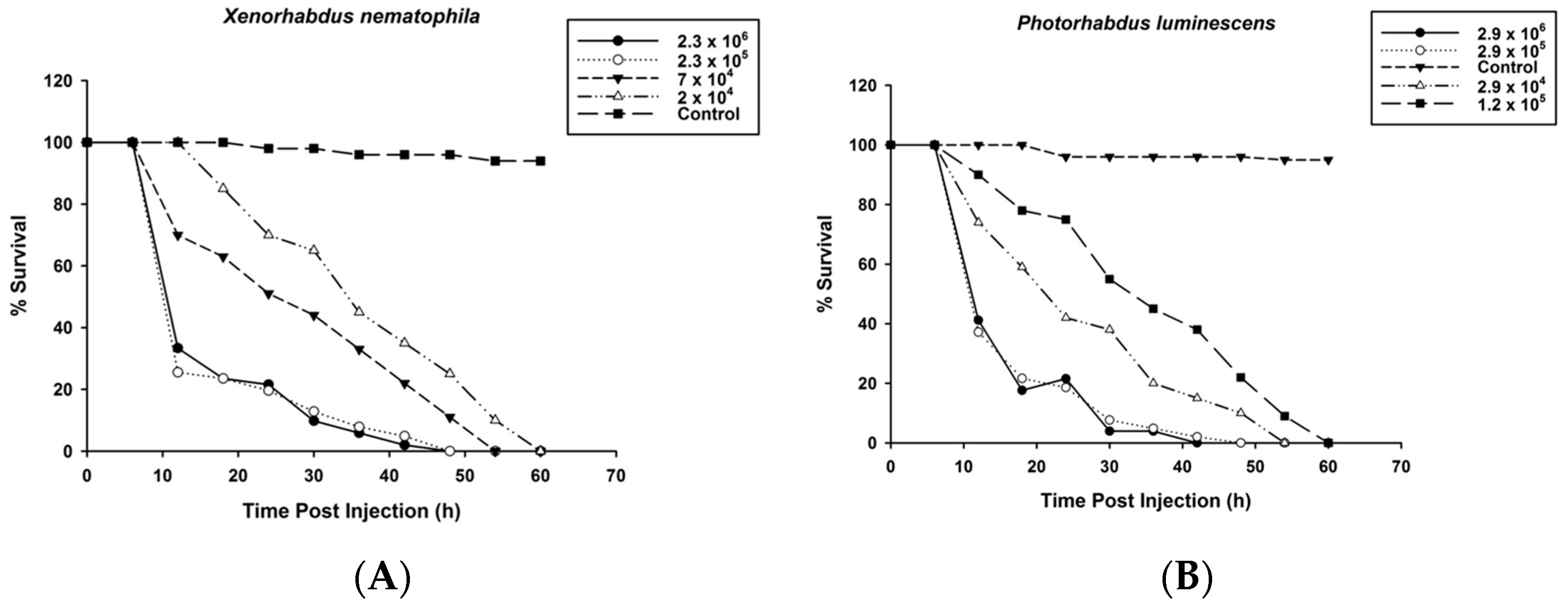 Pathogens 12 00506 g001
