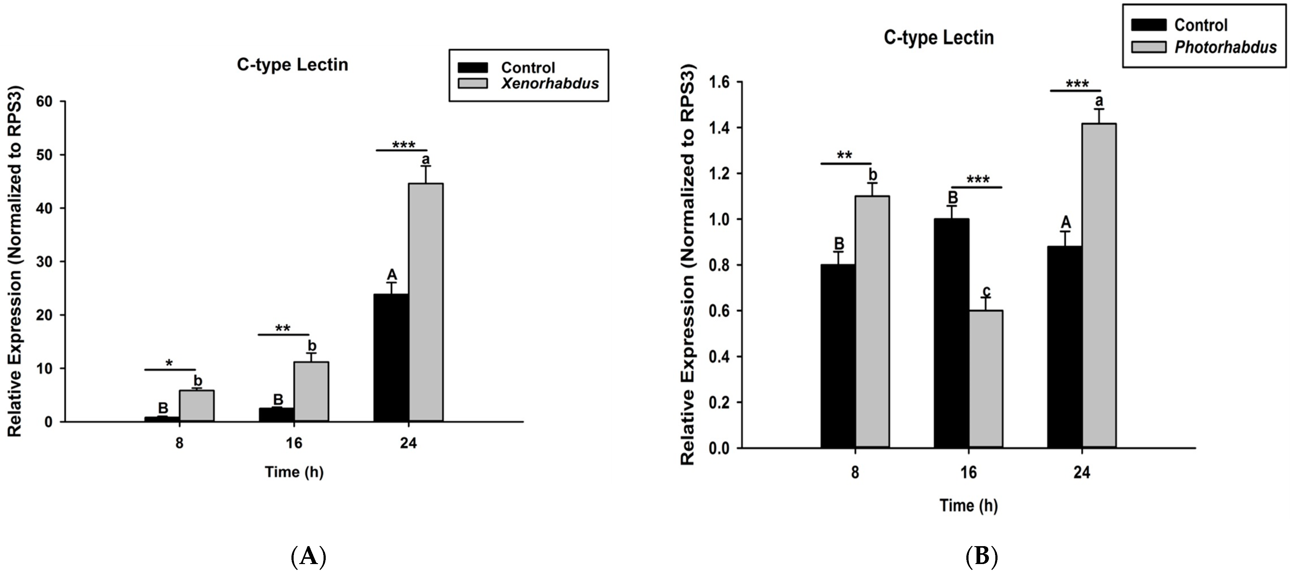 Pathogens 12 00506 g003