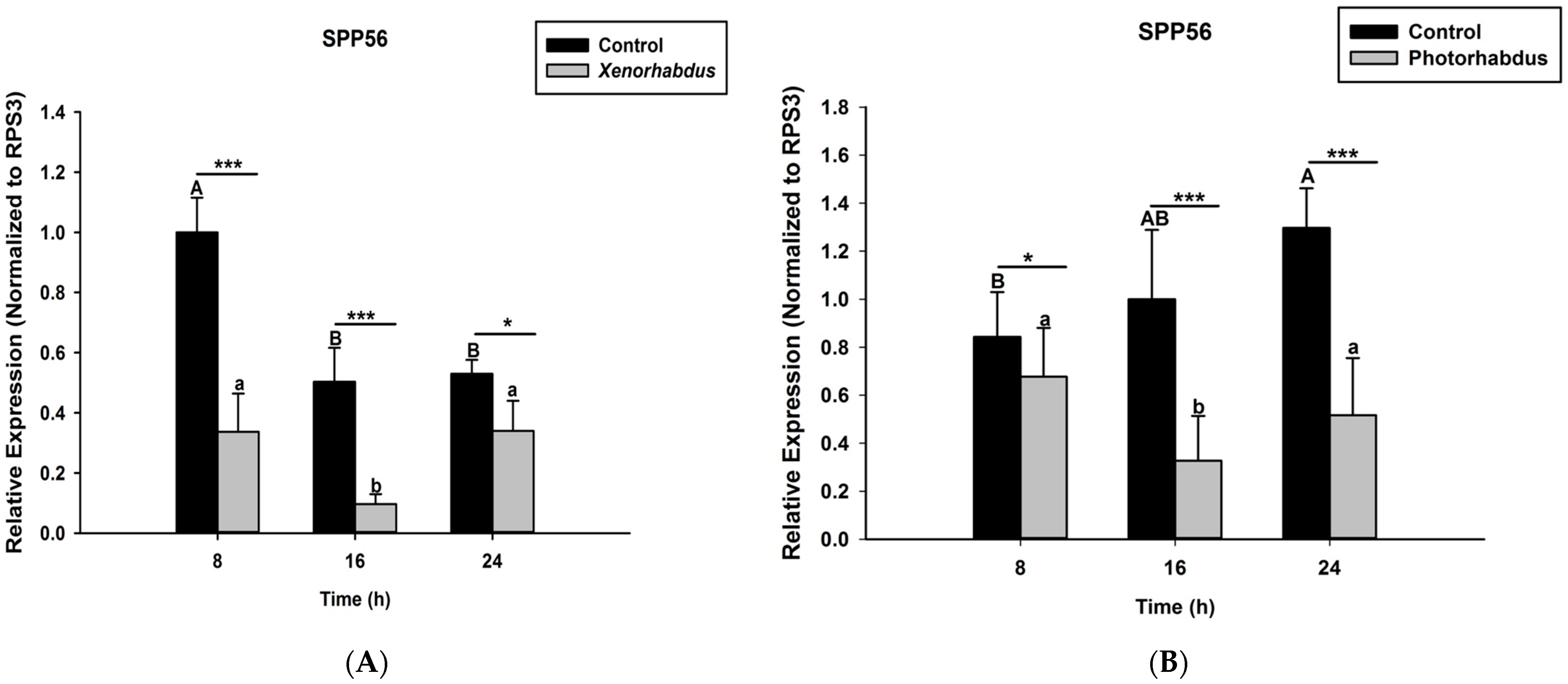 Pathogens 12 00506 g004