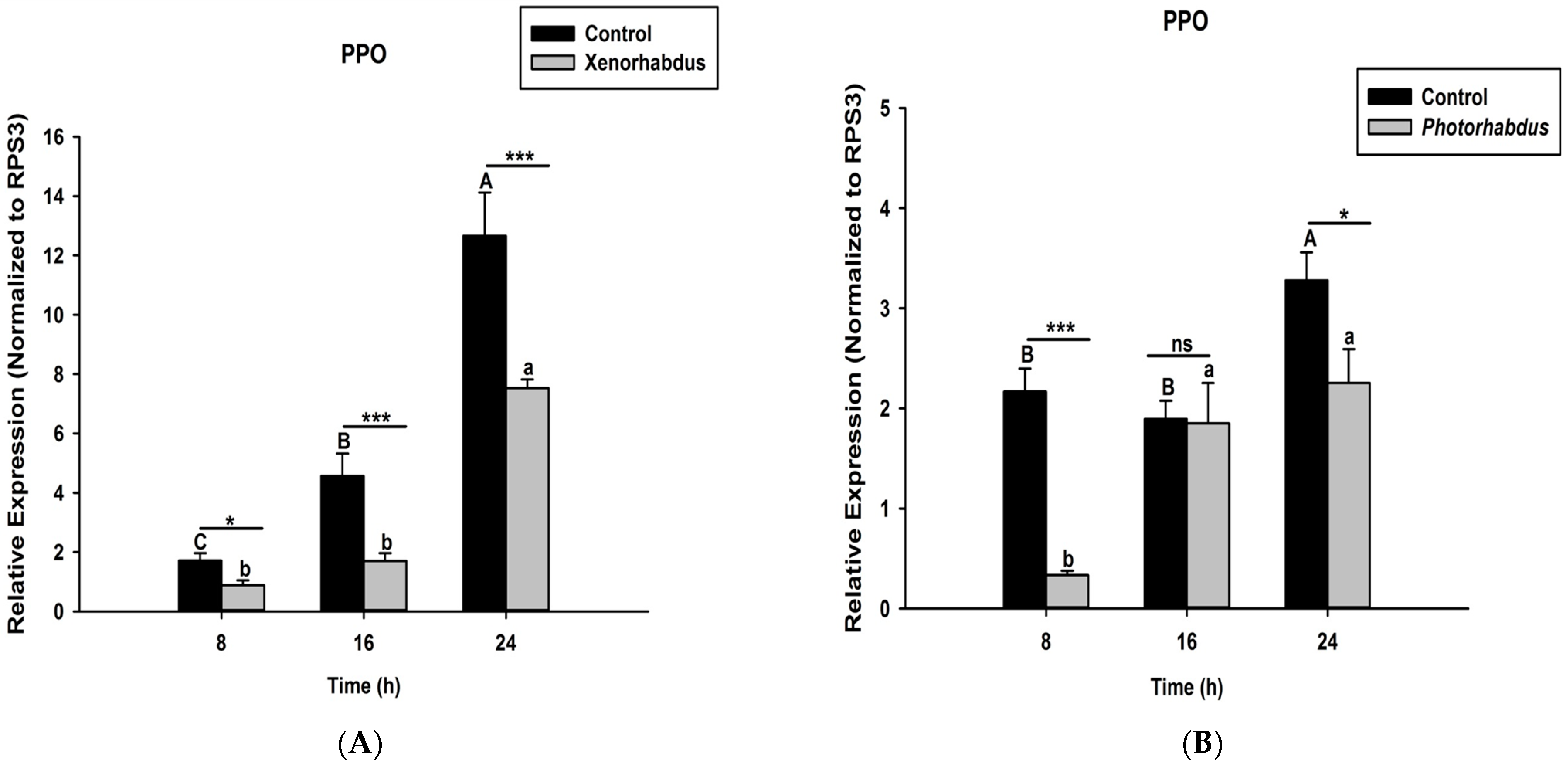 Pathogens 12 00506 g006