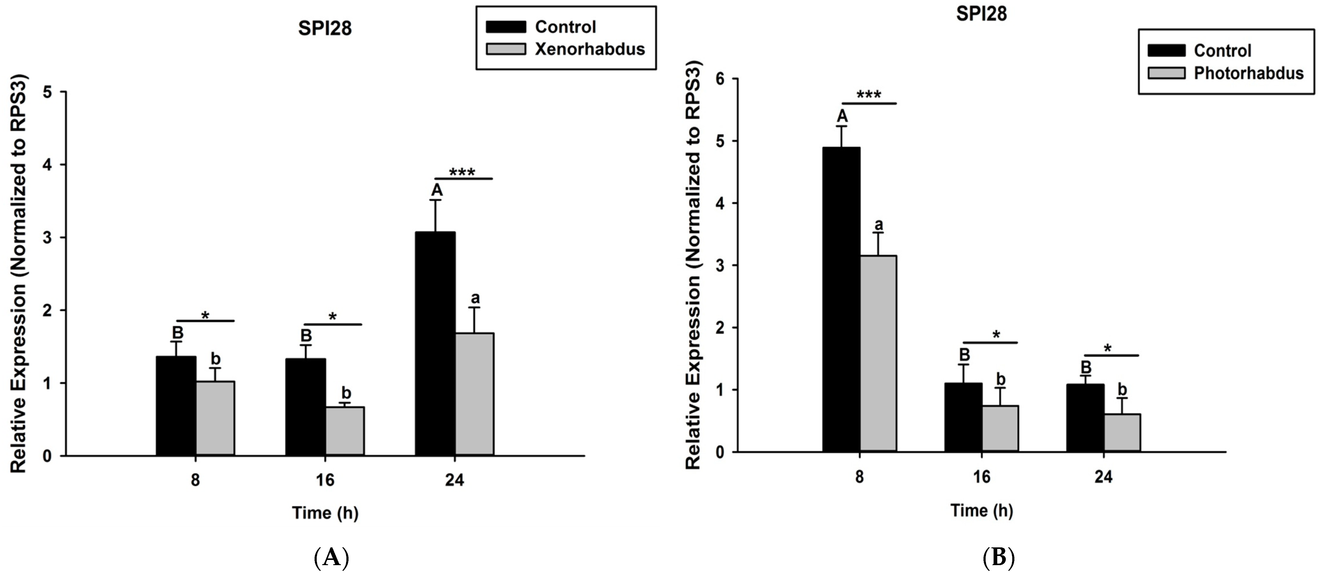 Pathogens 12 00506 g007