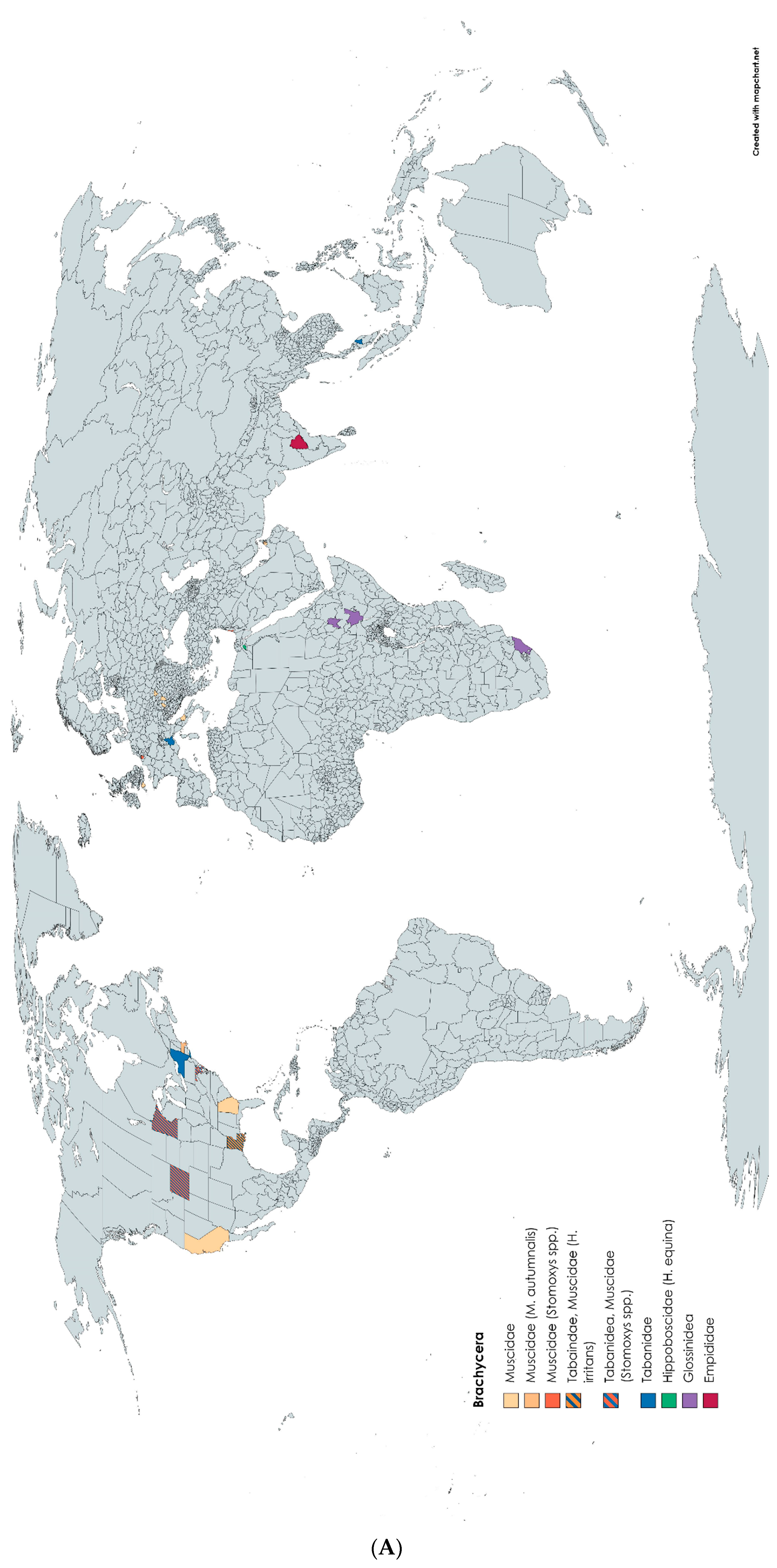 Pathogens 12 00568 g002a Pathogens 12 00568 g002a