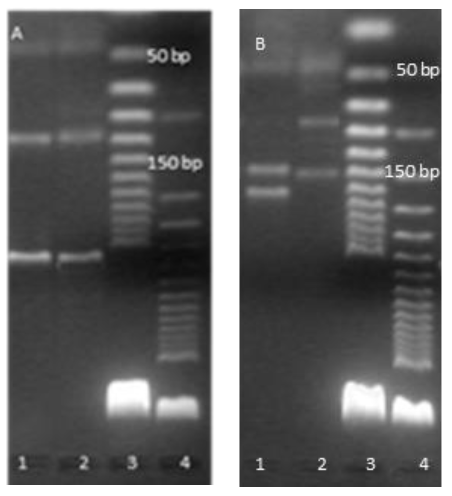 Pathogens 12 00570 g005