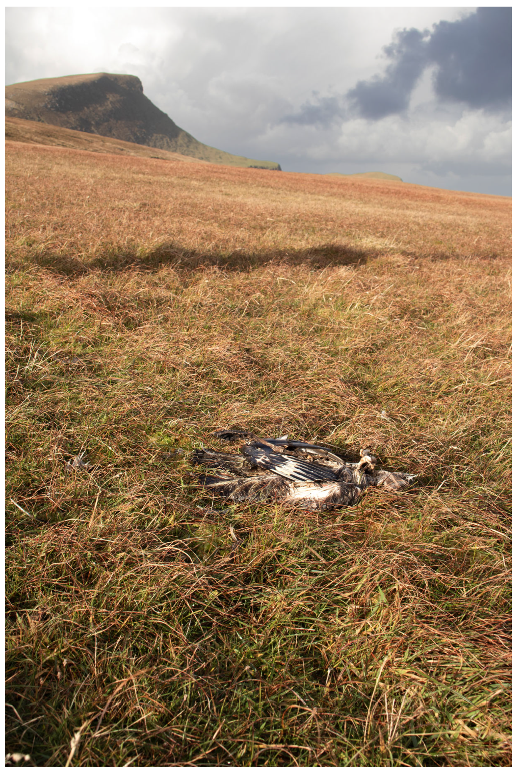 Pathogens 12 00584 g001