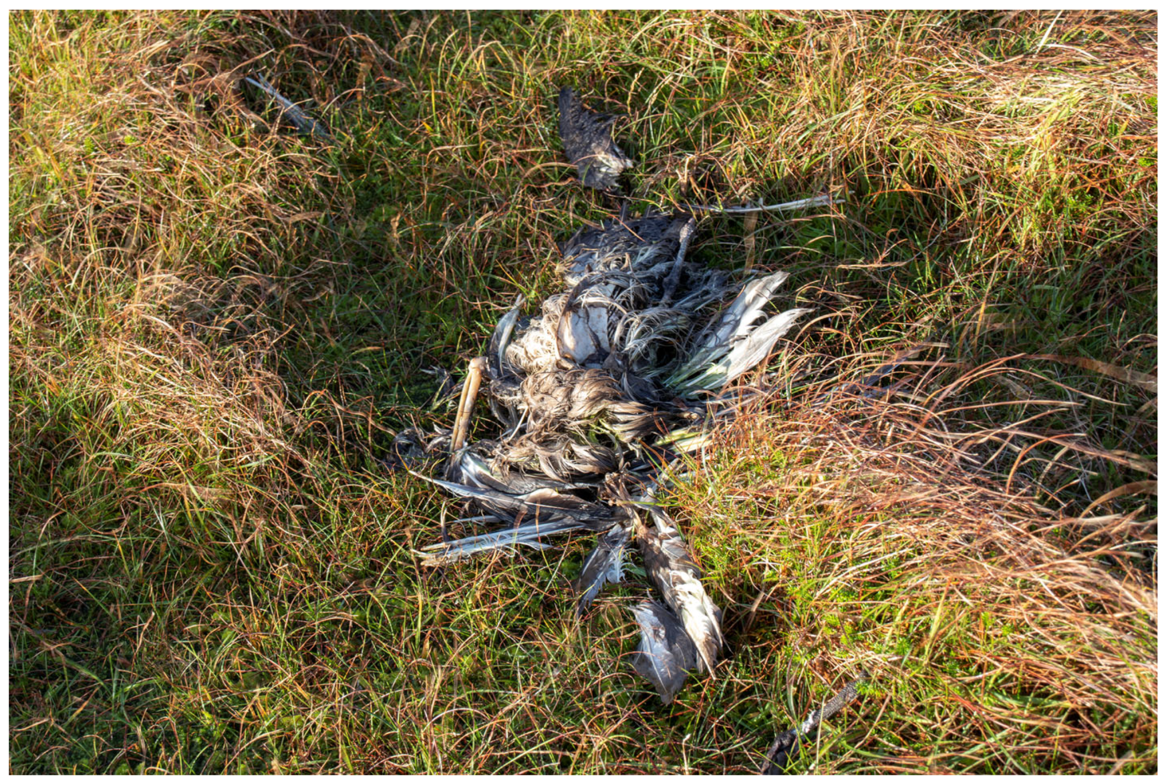 Pathogens 12 00584 g002