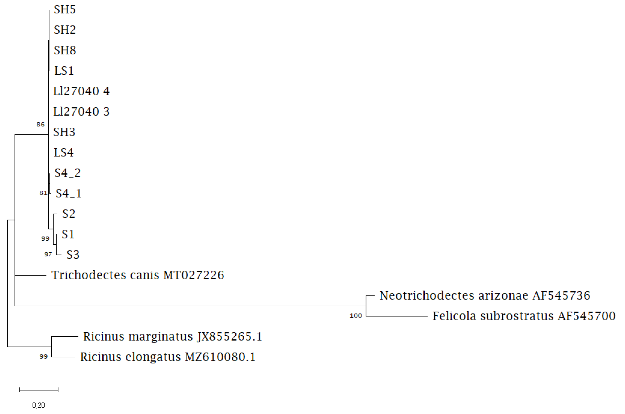 Pathogens 12 00587 g003 Pathogens 12 00587 g003