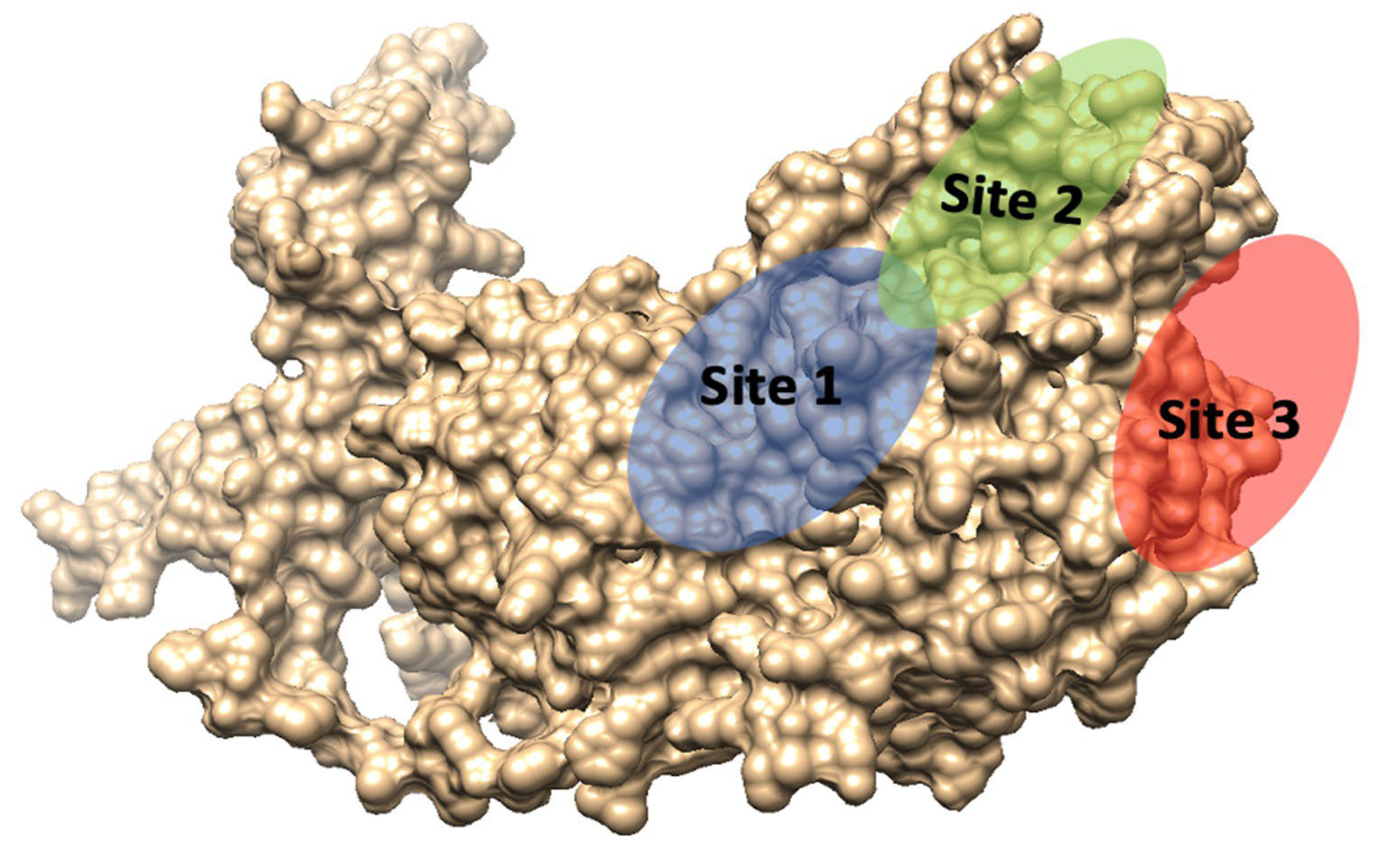 Pathogens 12 00591 g005