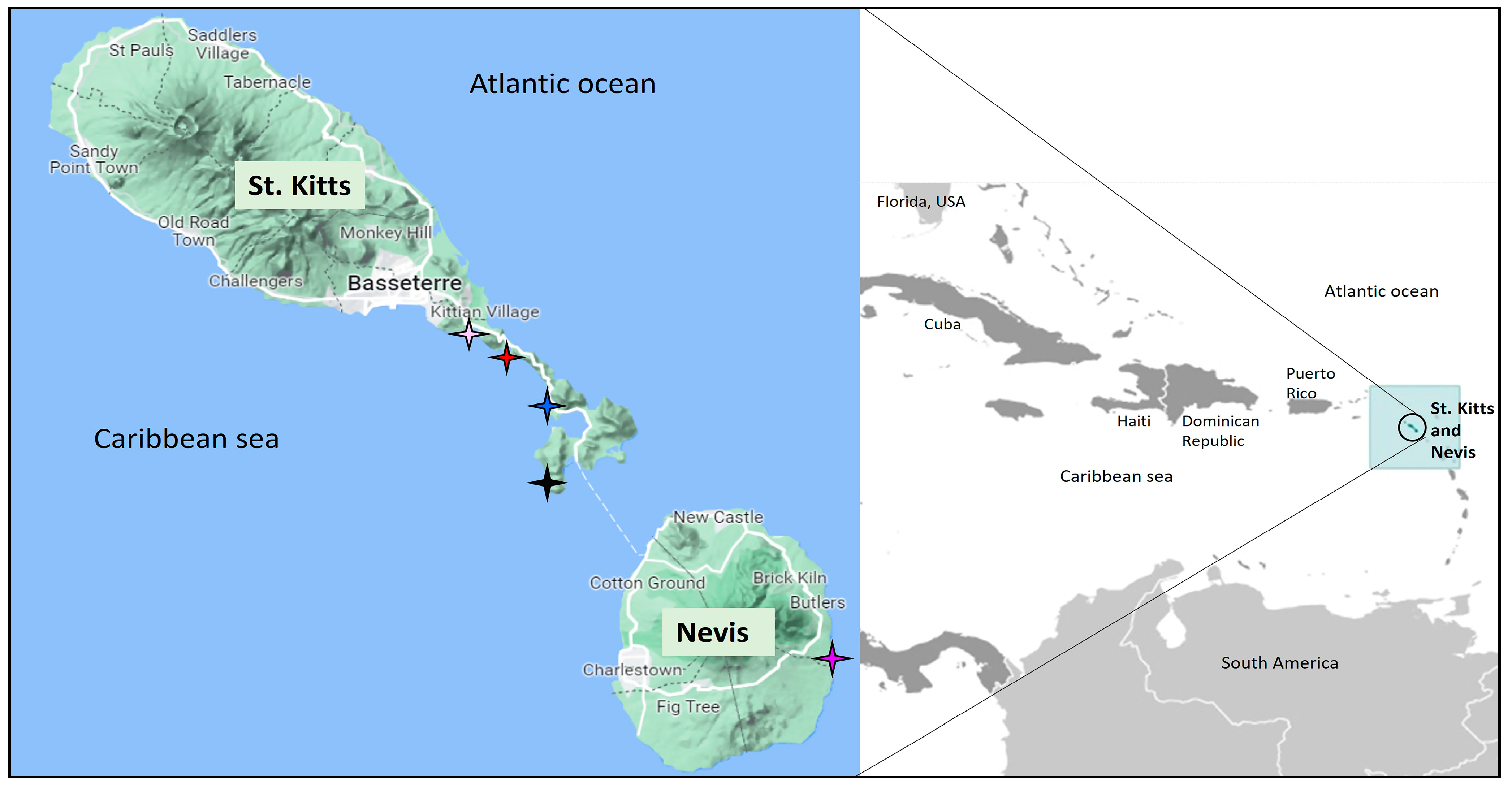 Pathogens 12 00601 g001