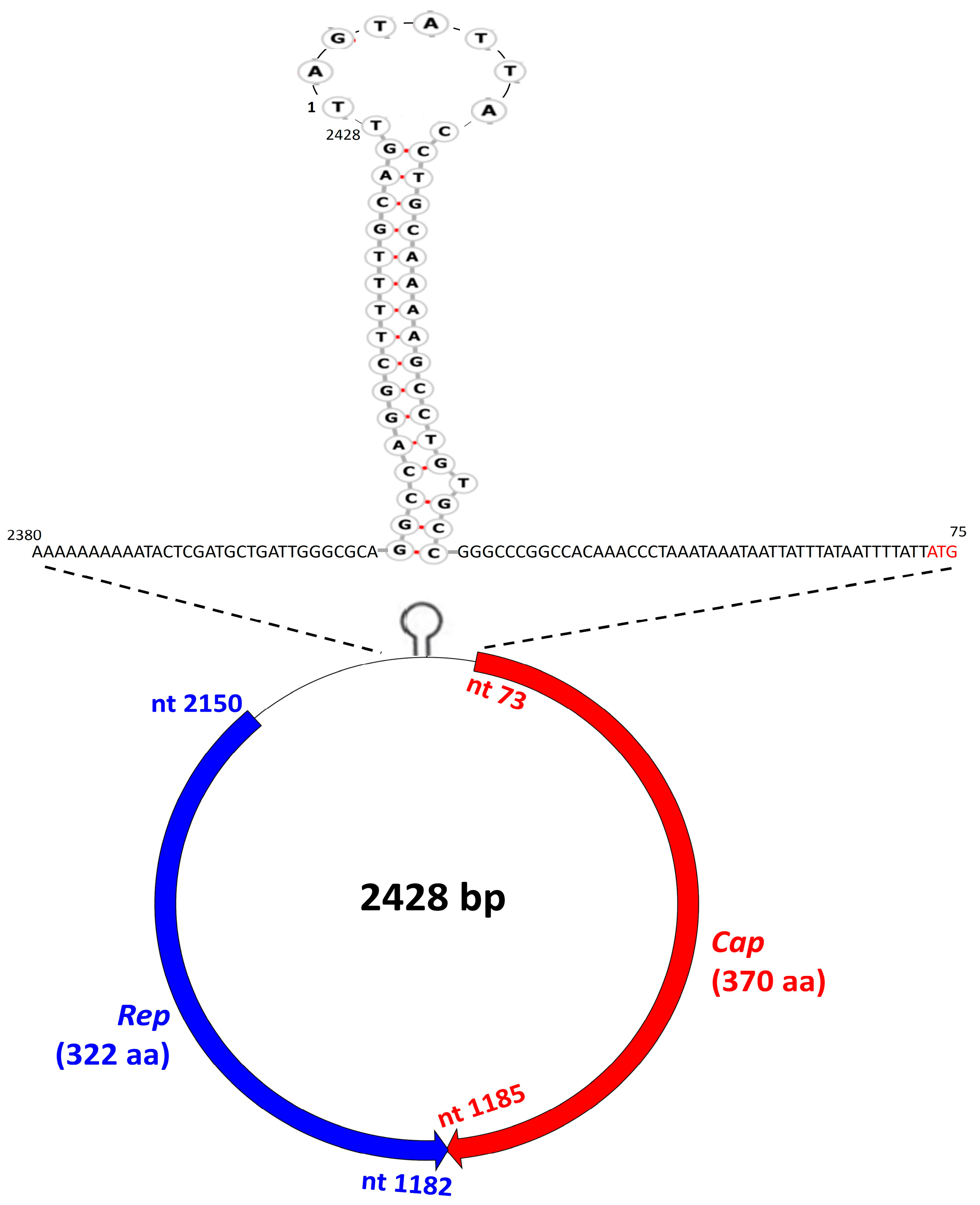 Pathogens 12 00601 g003
