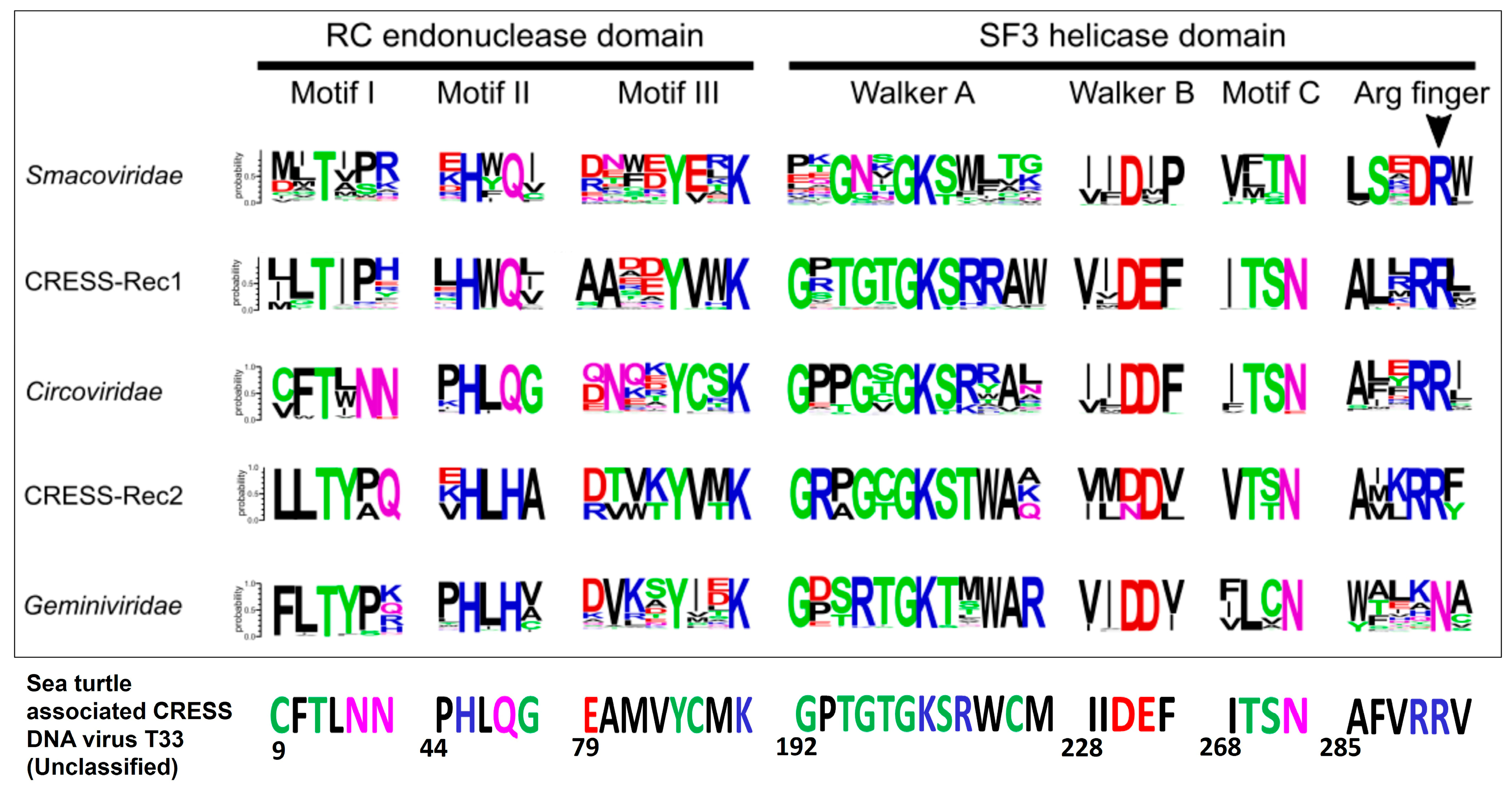 Pathogens 12 00601 g004