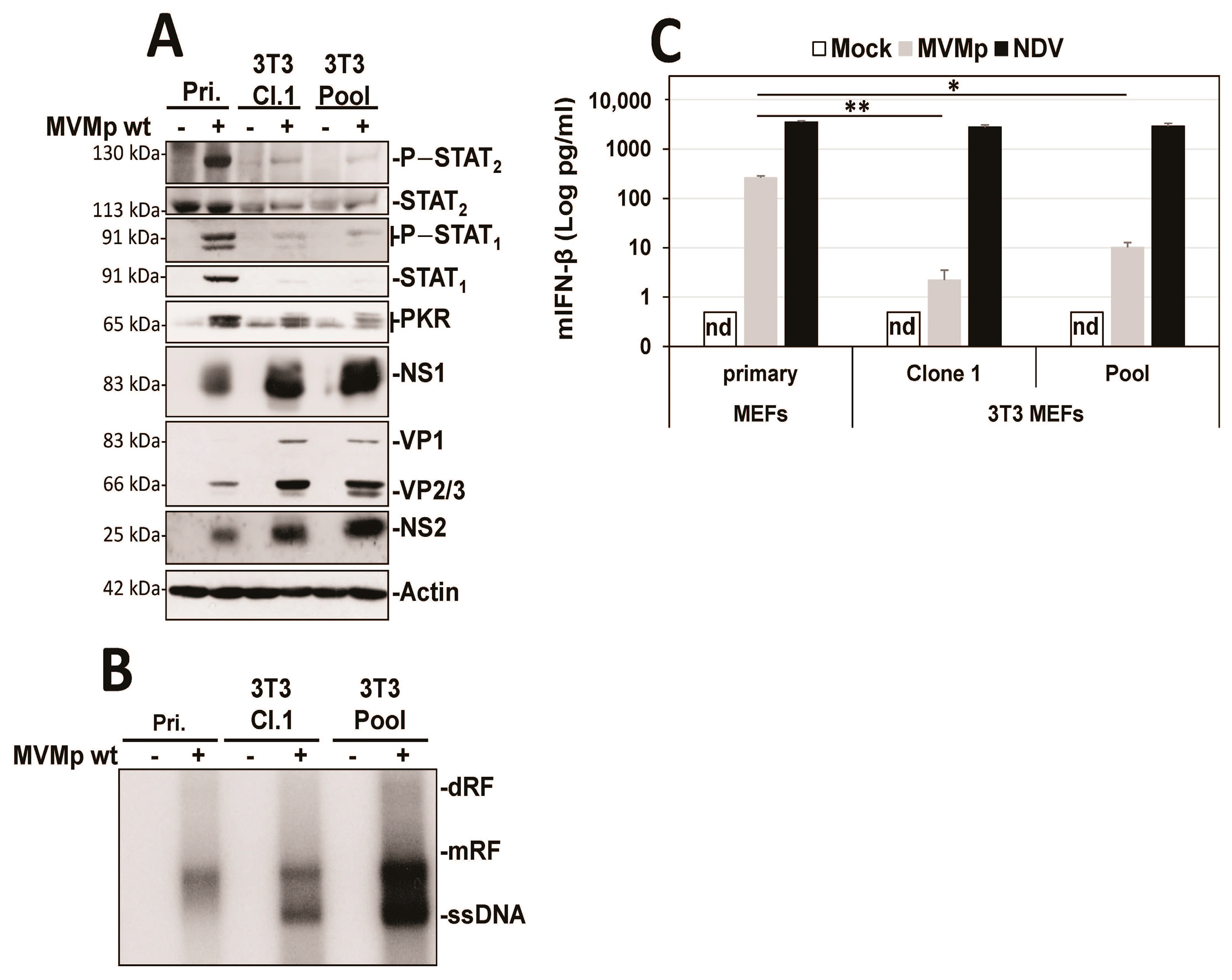 Pathogens 12 00607 g001