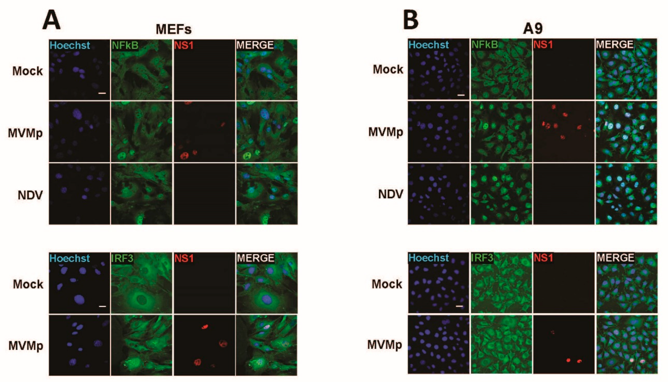 Pathogens 12 00607 g002