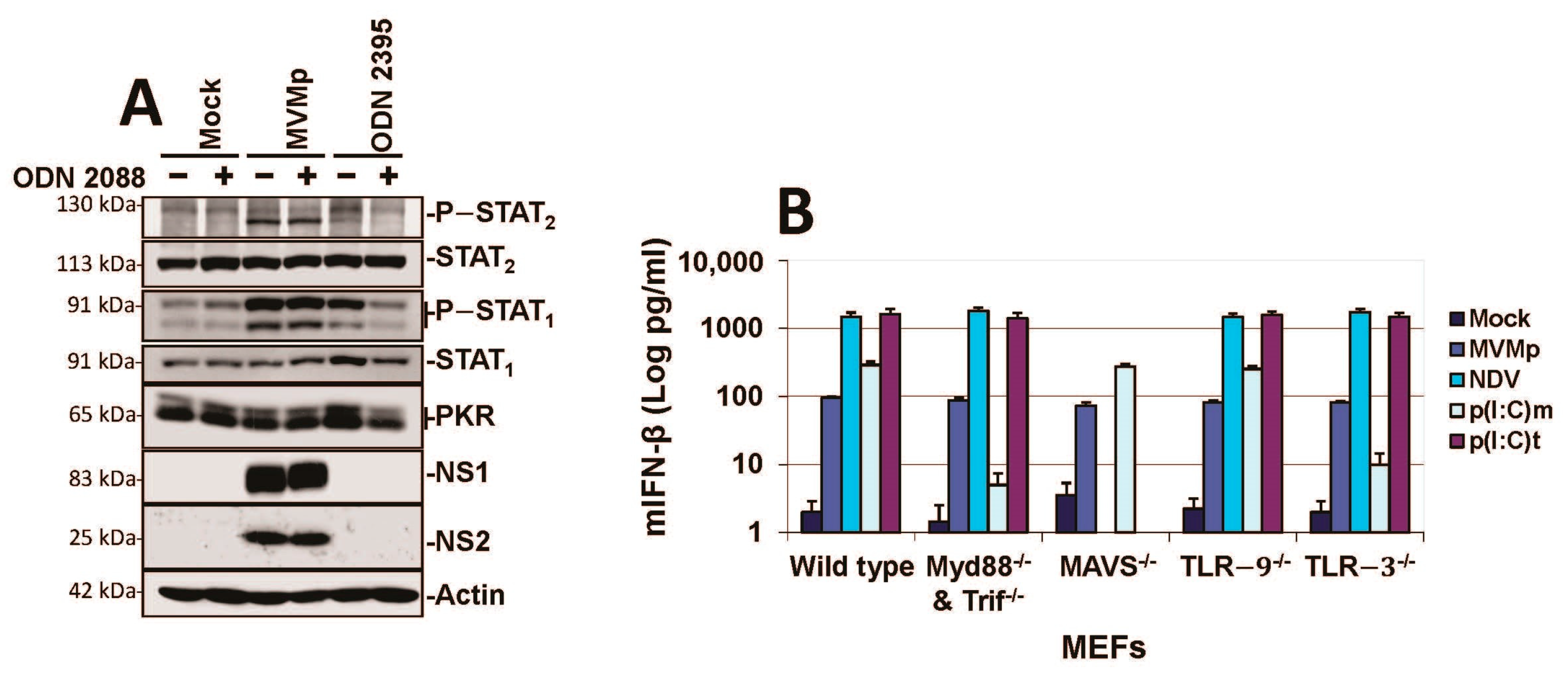 Pathogens 12 00607 g004