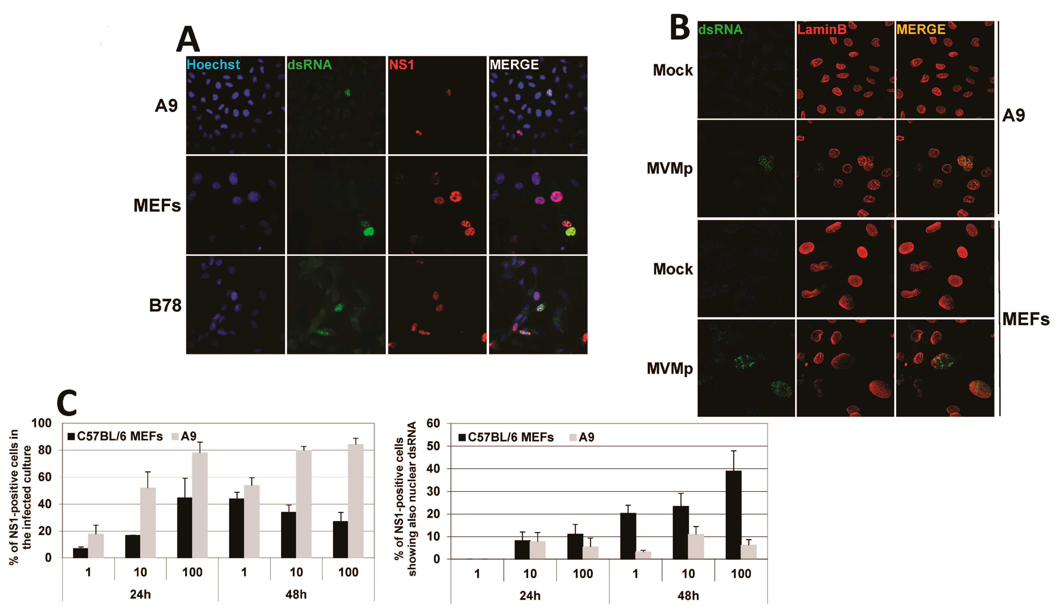 Pathogens 12 00607 g006