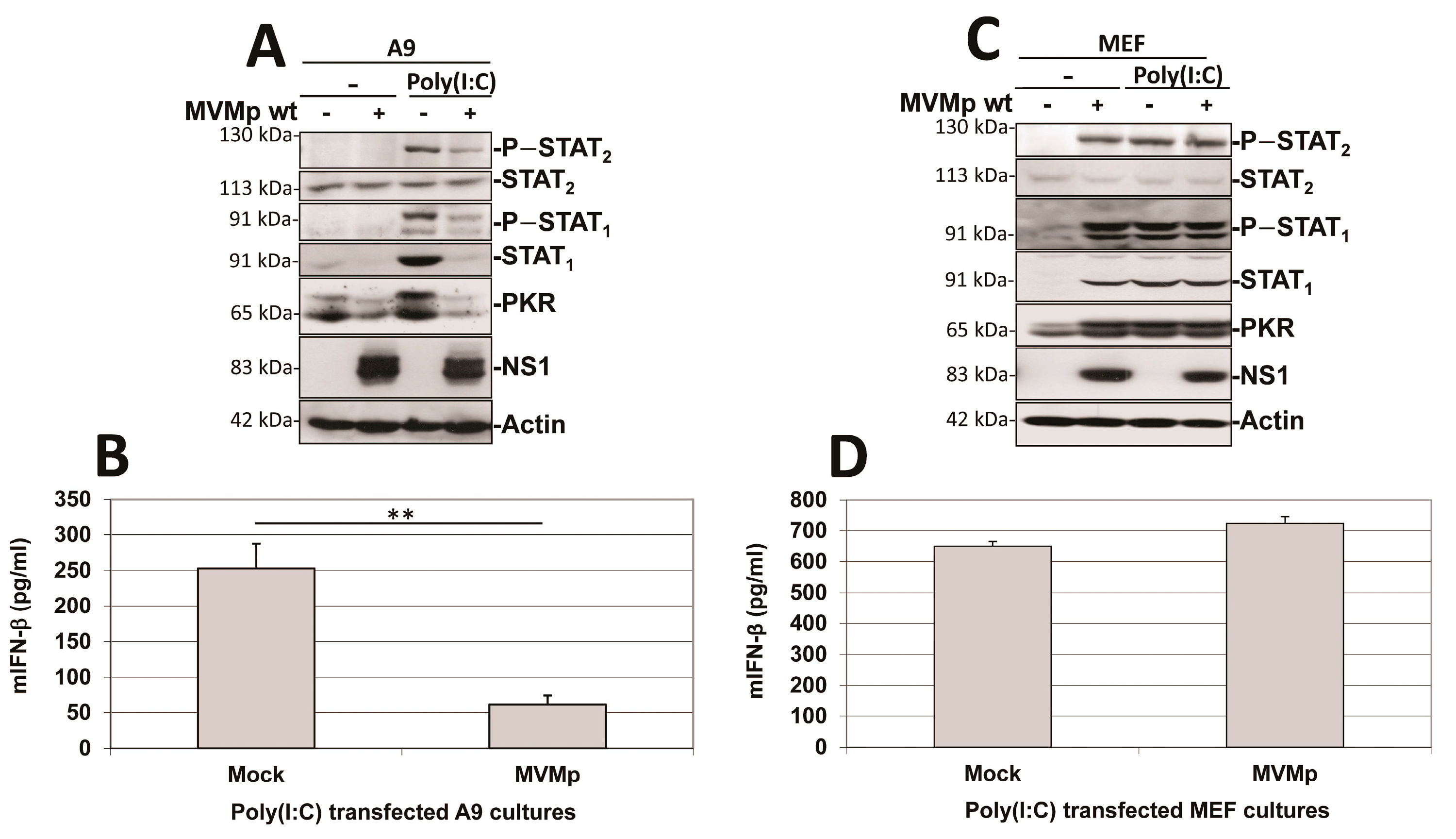 Pathogens 12 00607 g011