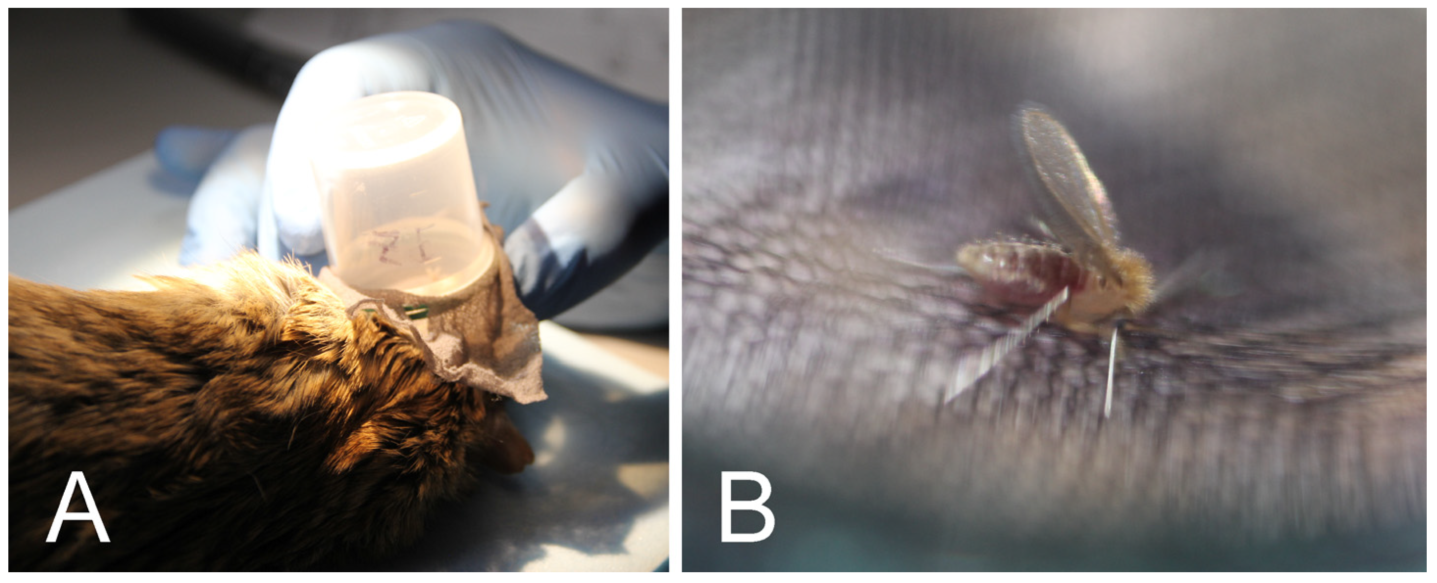 Pathogens 12 00614 g001 Pathogens 12 00614 g001
