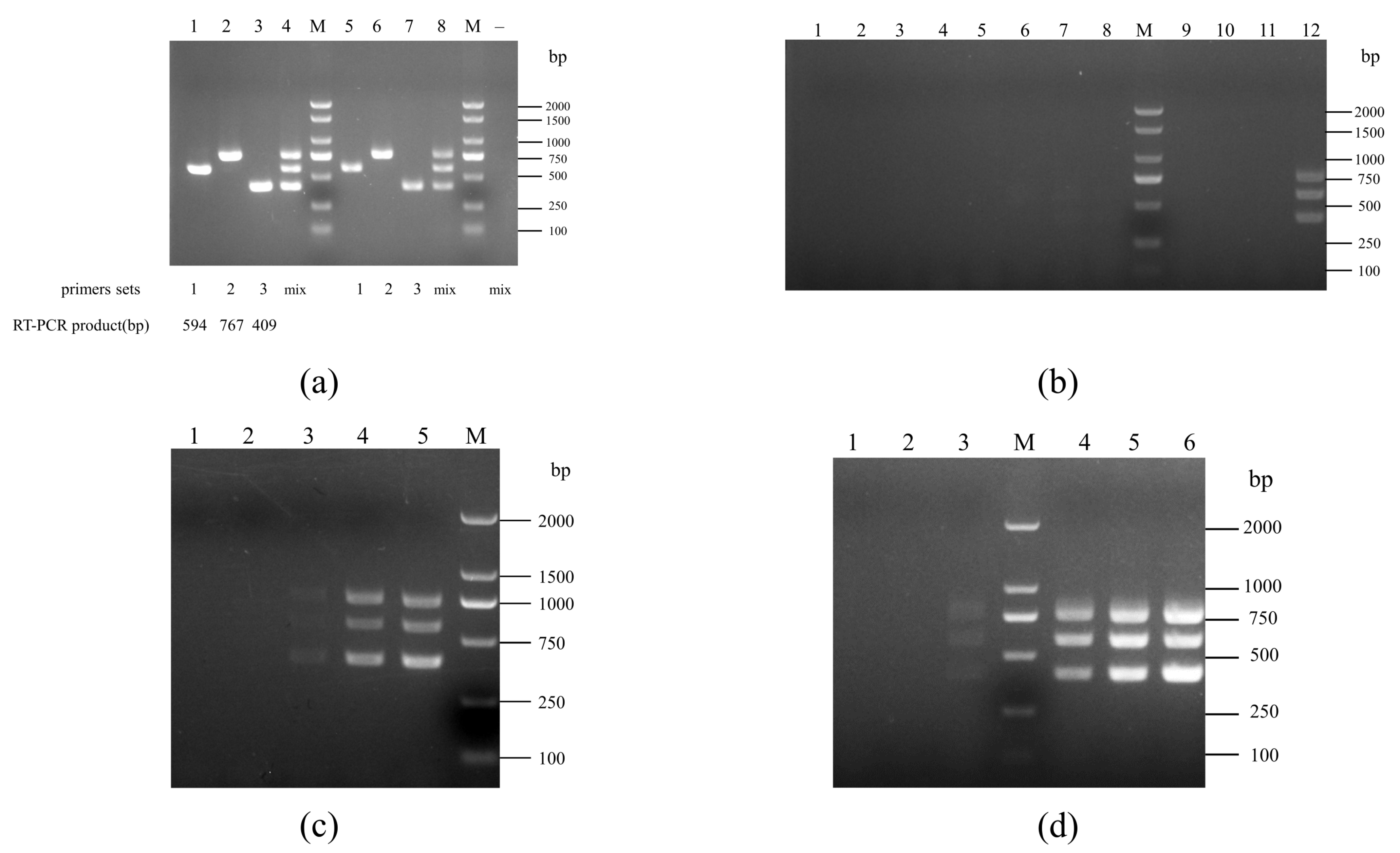 Pathogens 12 00615 g001 Pathogens 12 00615 g001