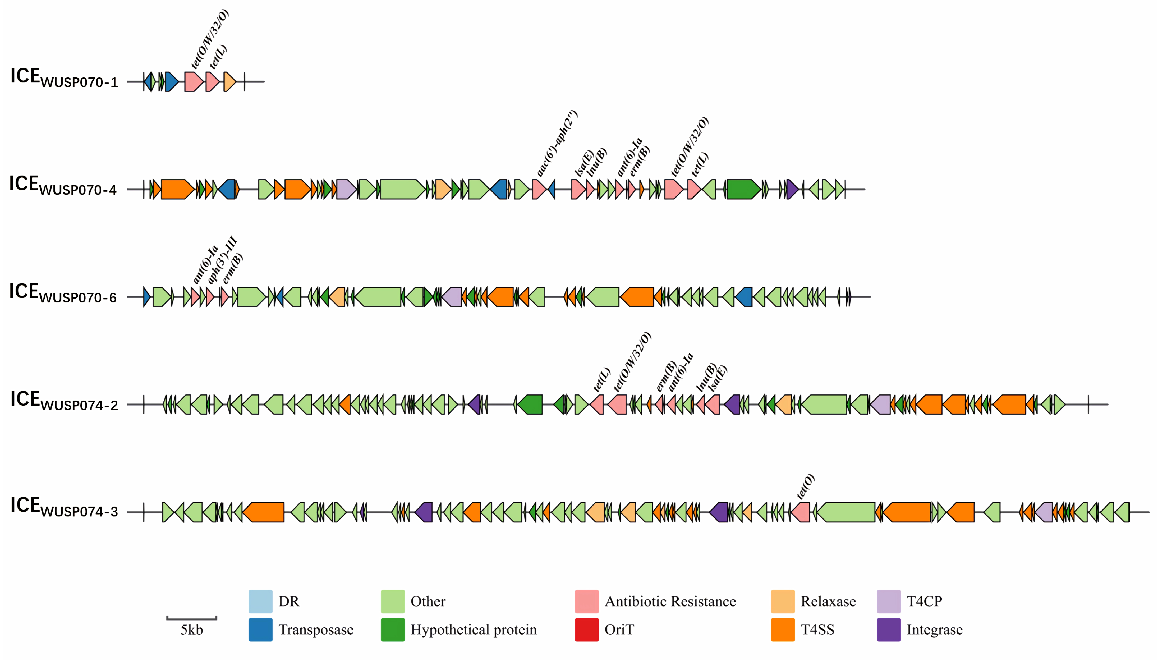 Pathogens 12 00615 g002 Pathogens 12 00615 g002