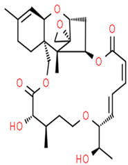 Pathogens 12 00617 i002