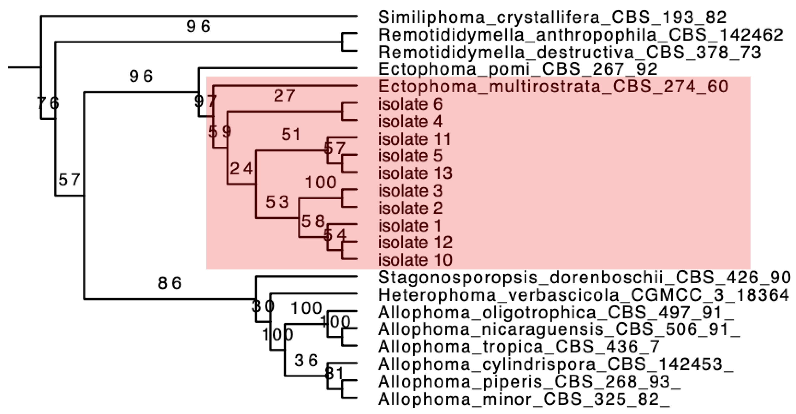 Pathogens 12 00621 g002 Pathogens 12 00621 g002