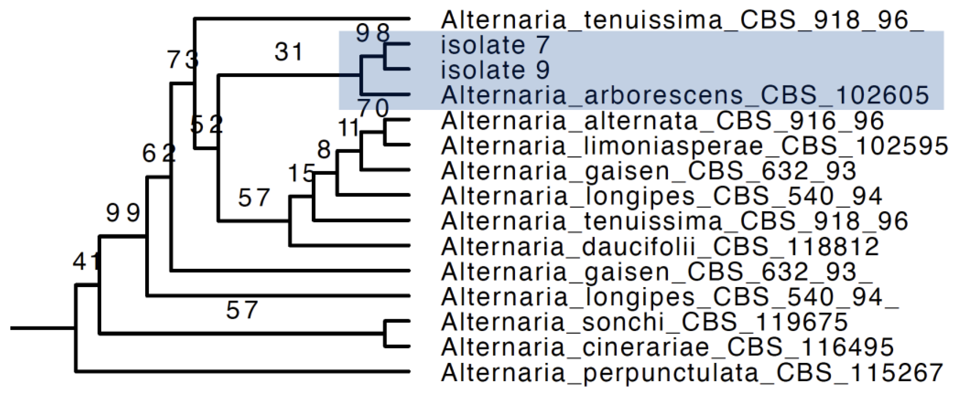Pathogens 12 00621 g003 Pathogens 12 00621 g003