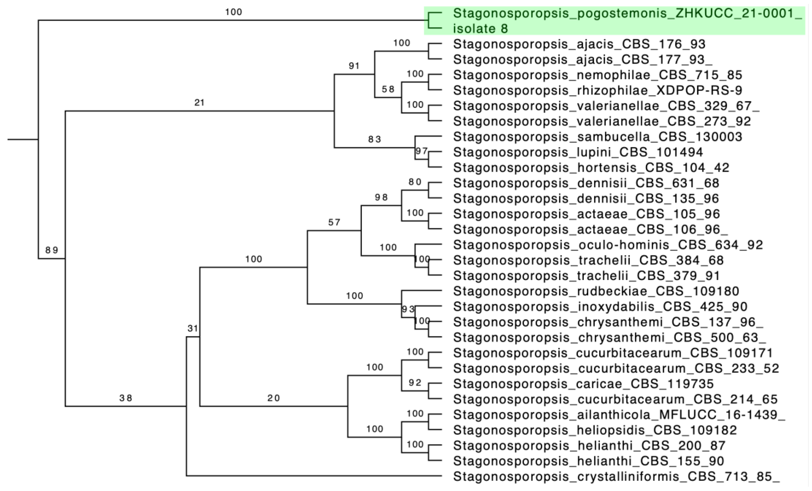 Pathogens 12 00621 g004 Pathogens 12 00621 g004