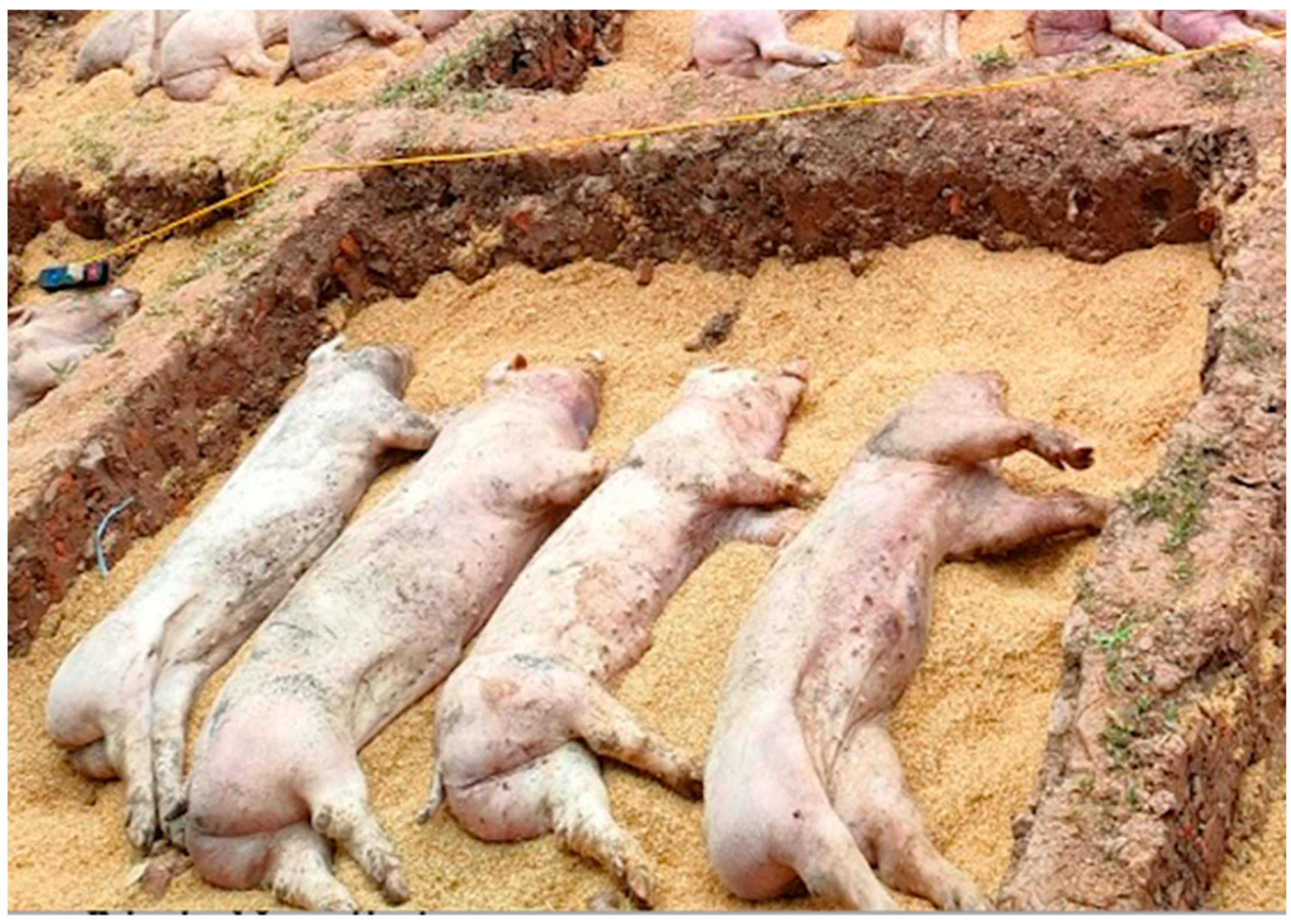 Pathogens 12 00628 g001 Pathogens 12 00628 g001