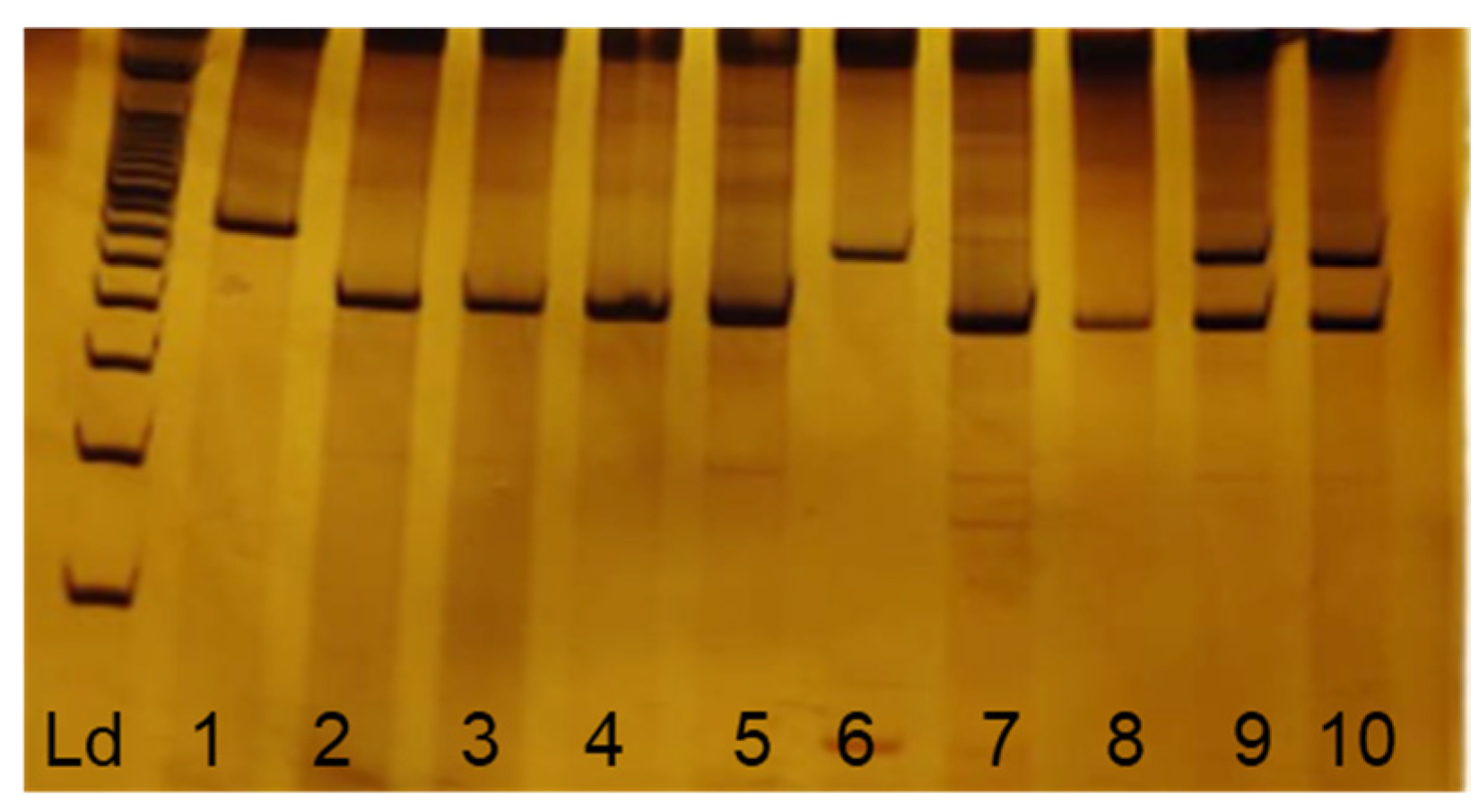 Pathogens 12 00636 g001 Pathogens 12 00636 g001