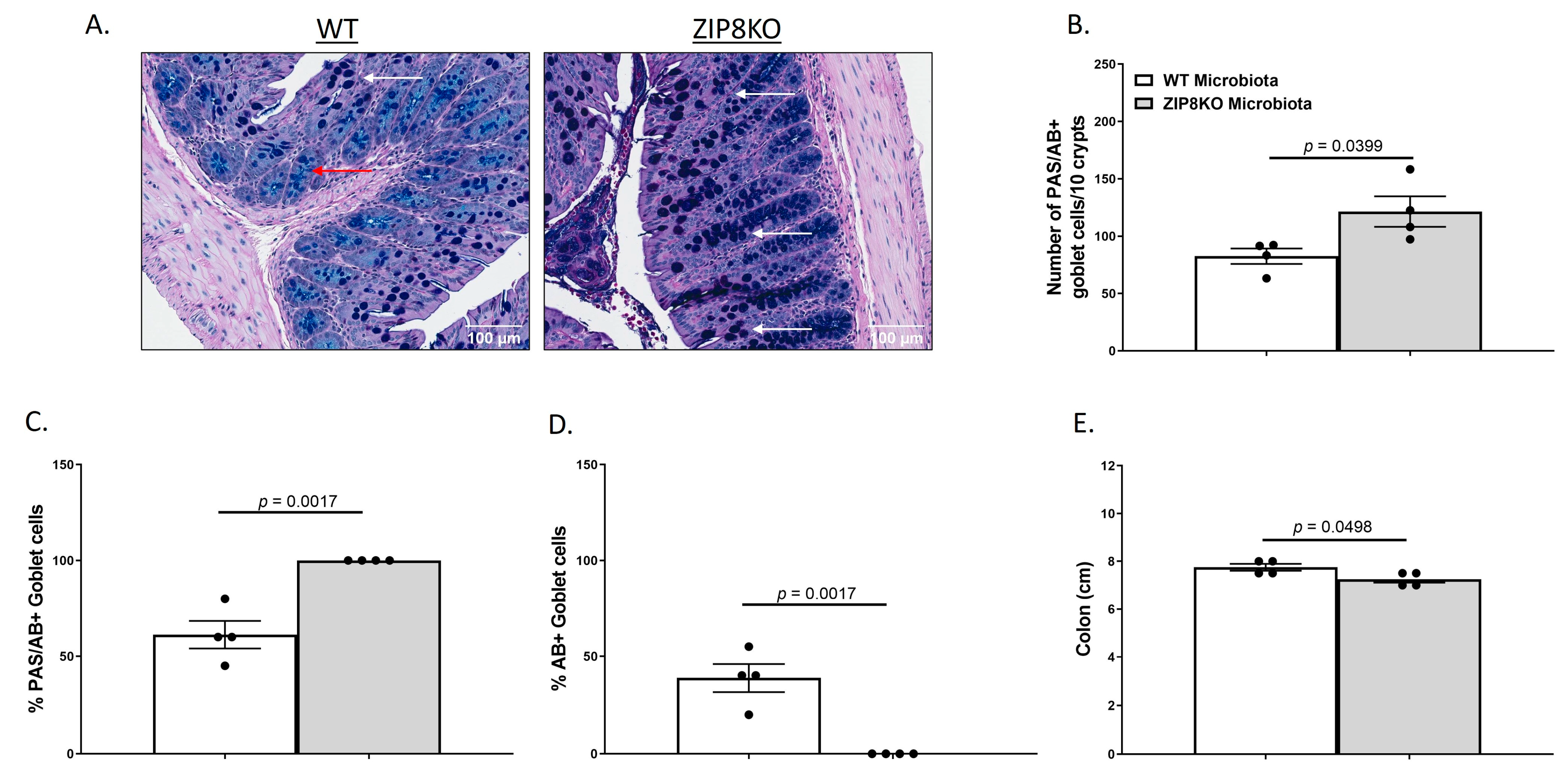 Pathogens 12 00639 g003 Pathogens 12 00639 g003