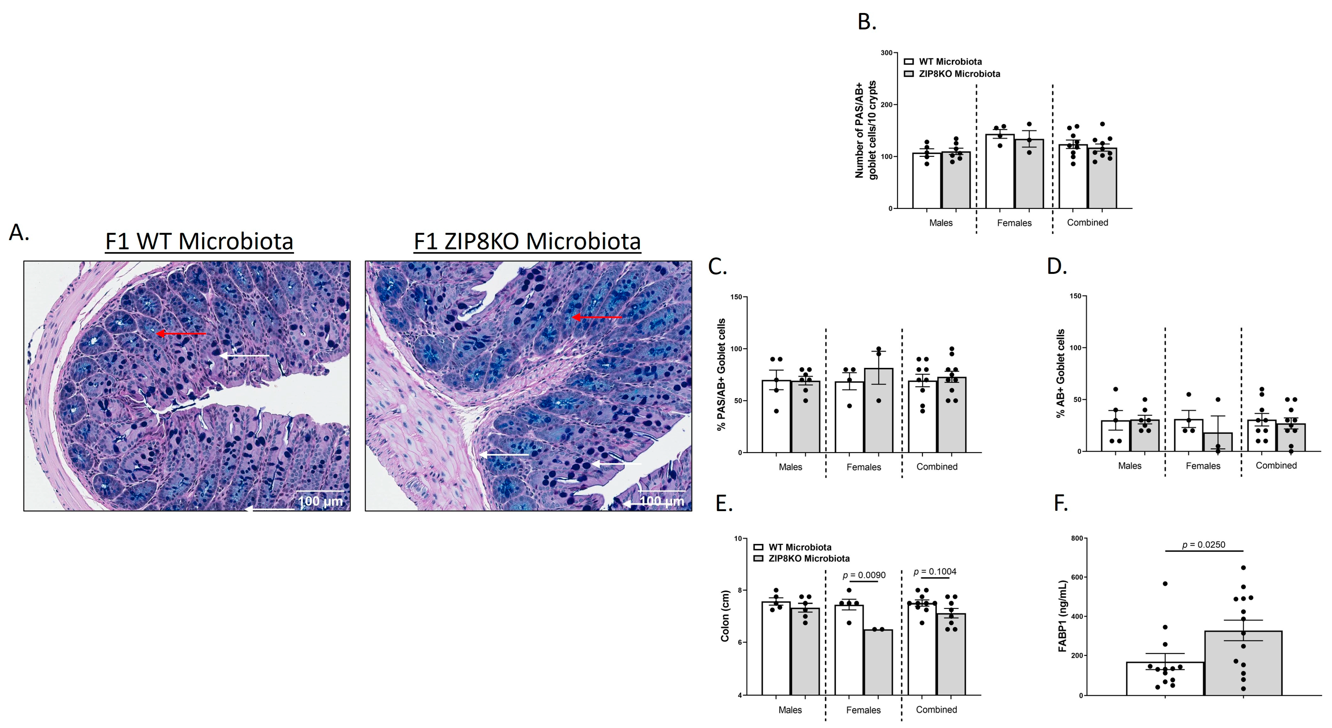 Pathogens 12 00639 g004 Pathogens 12 00639 g004