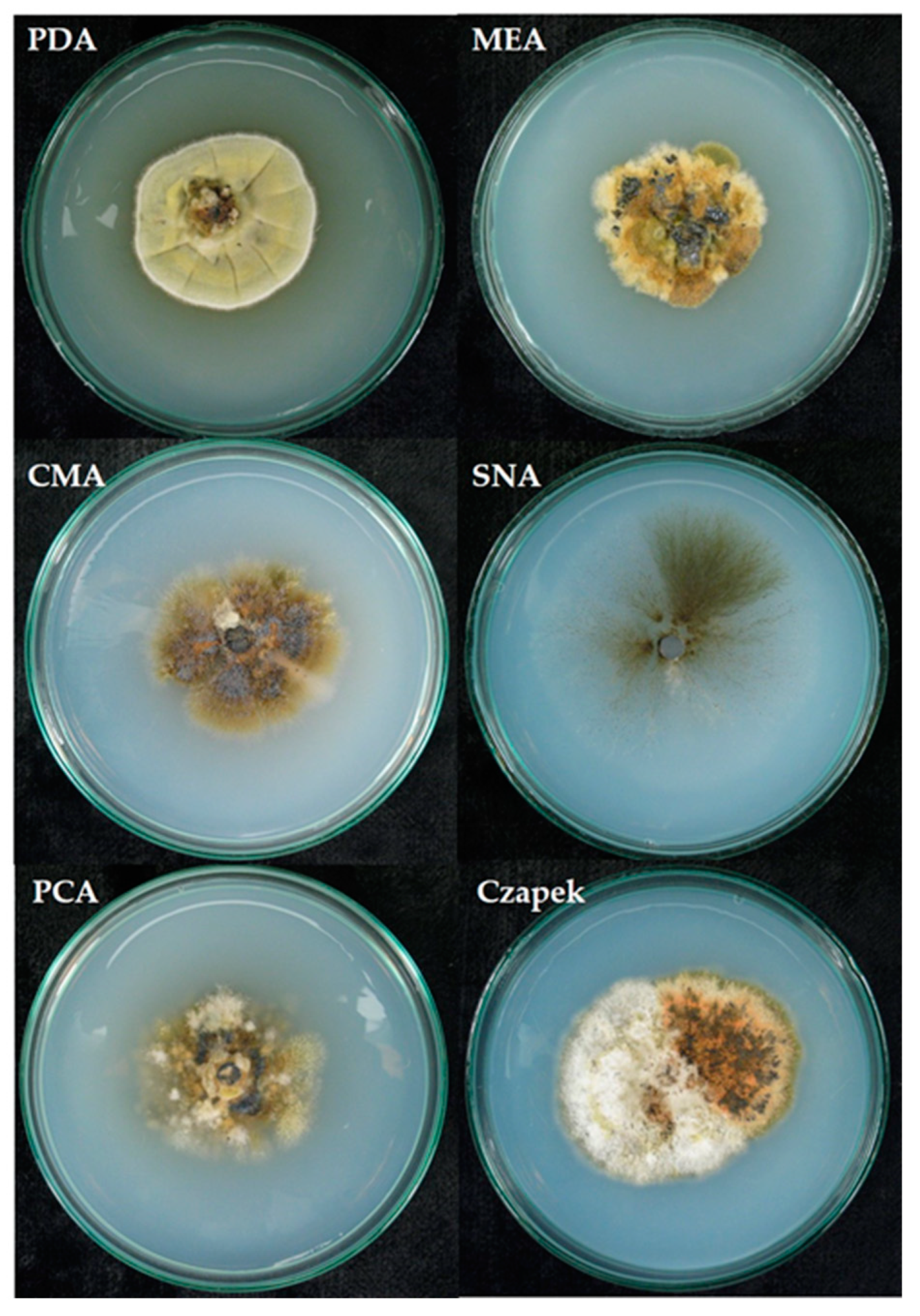 Pathogens 12 00642 g004
