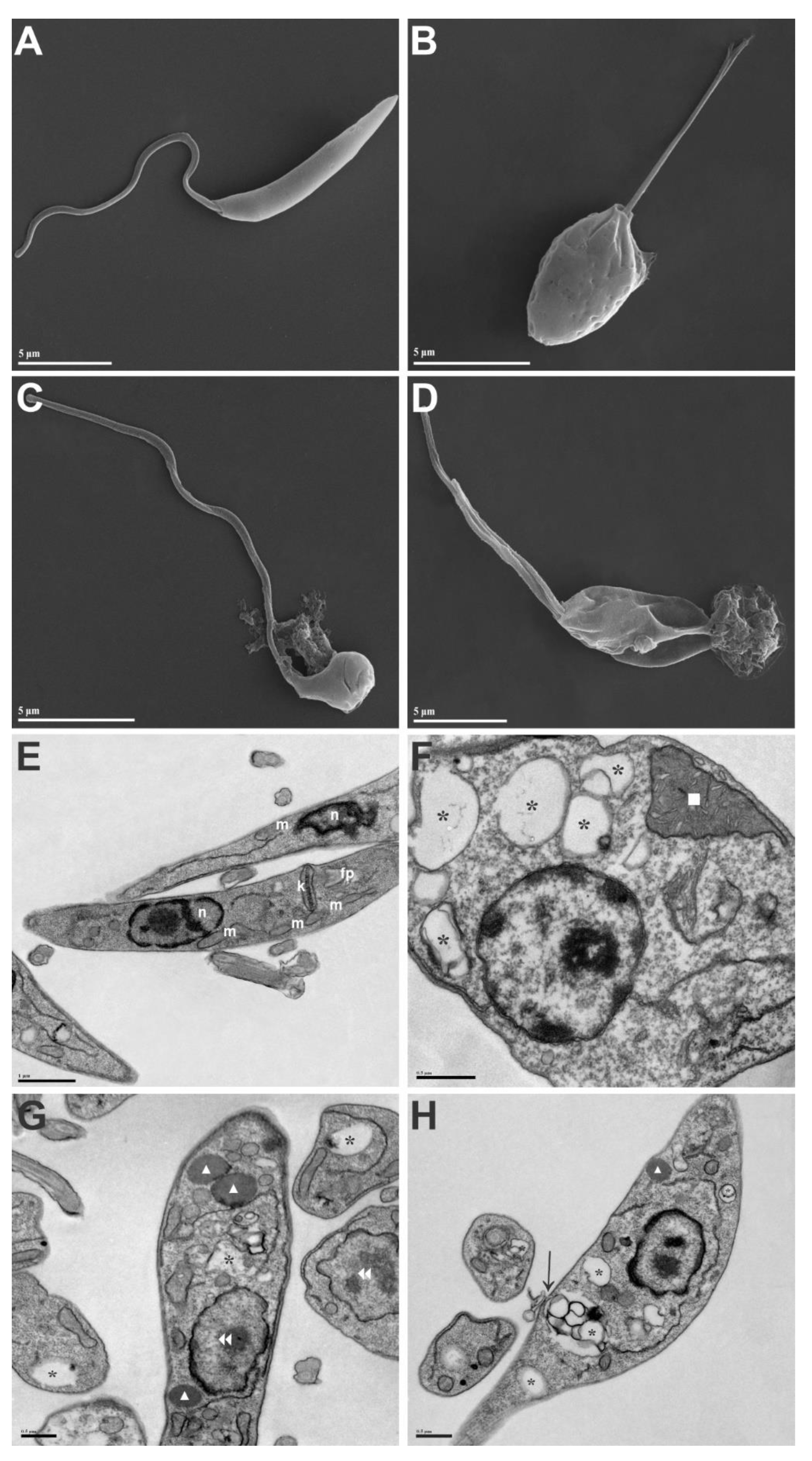 Pathogens 12 00660 g003 Pathogens 12 00660 g003