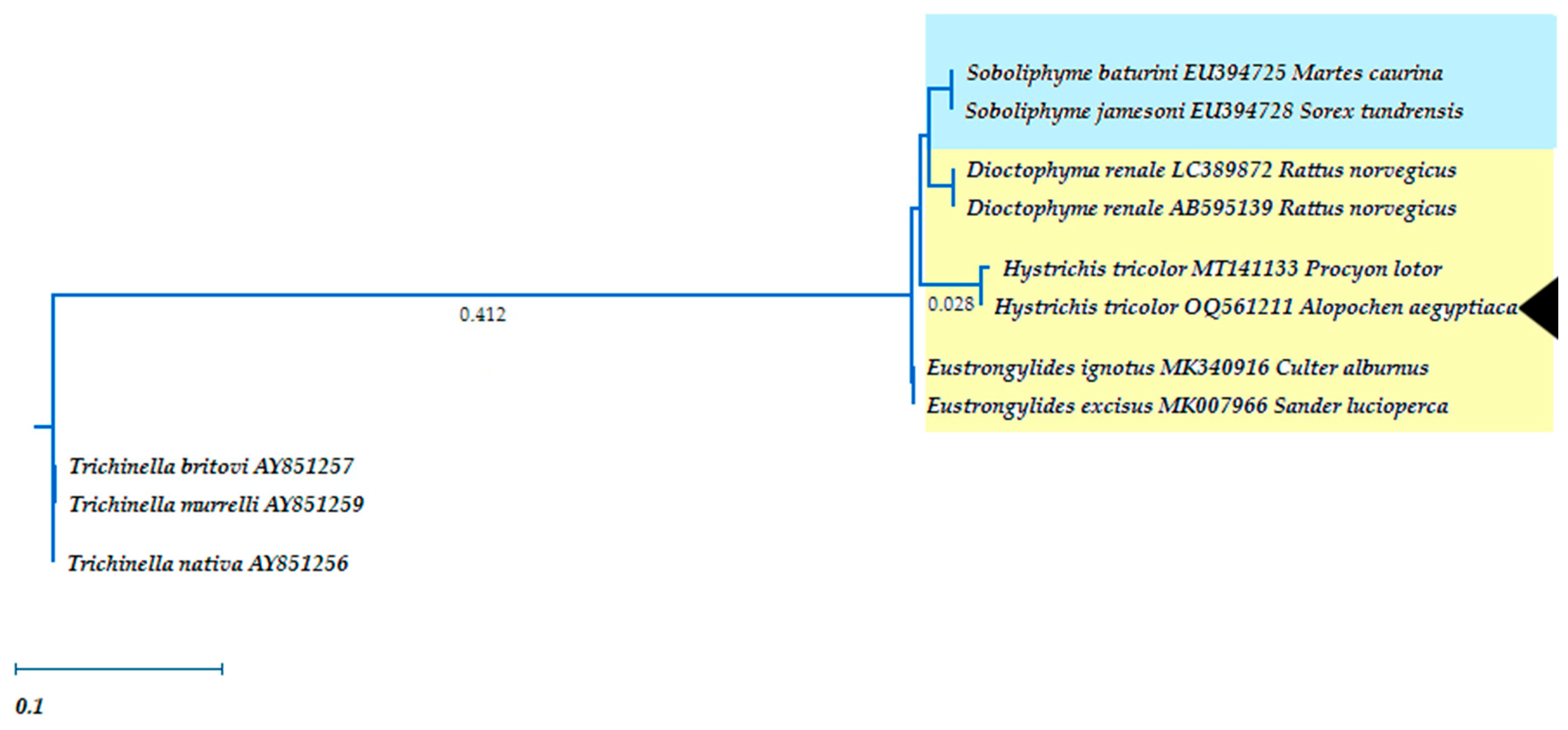 Pathogens 12 00663 g004 Pathogens 12 00663 g004