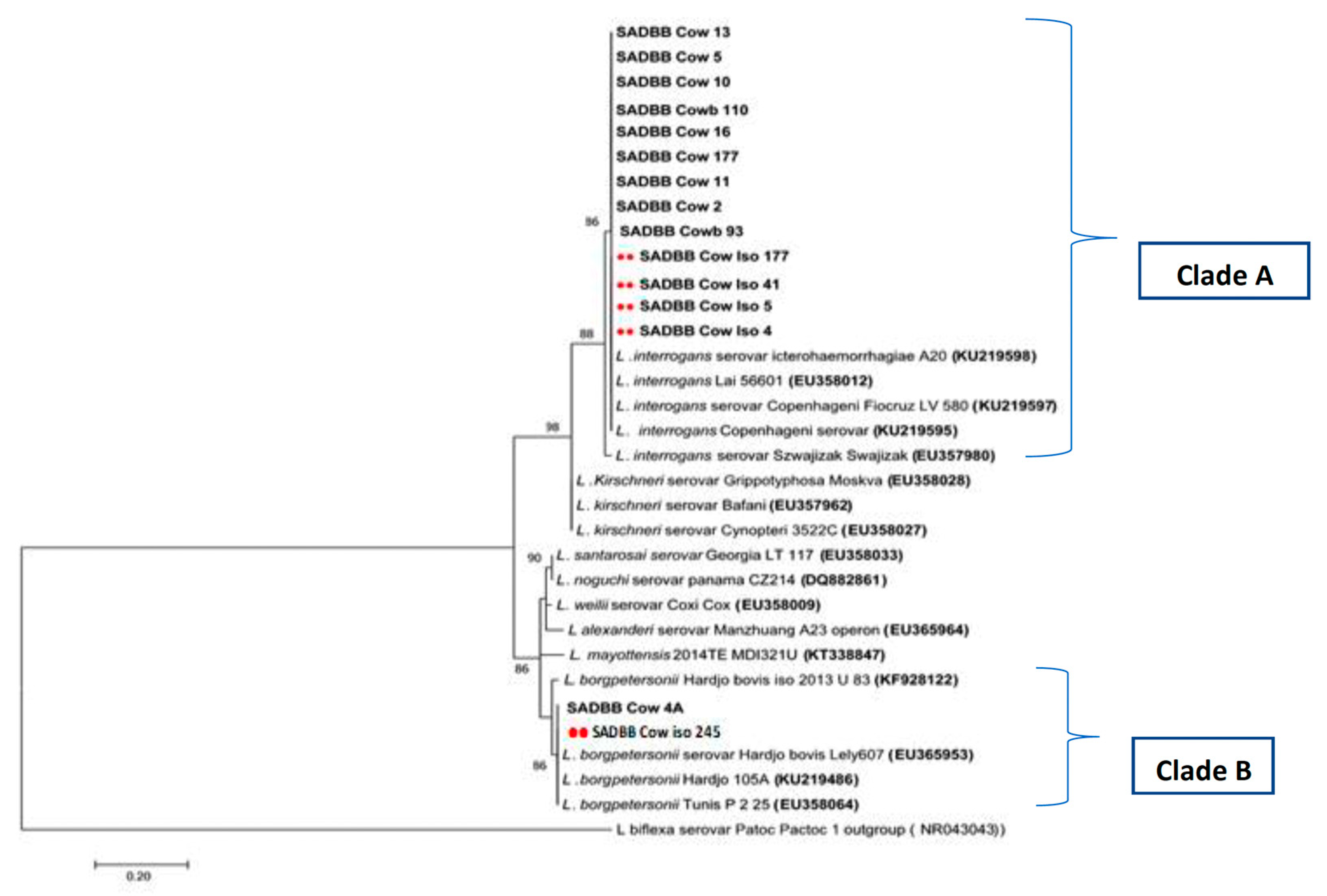 Pathogens 12 00666 g003