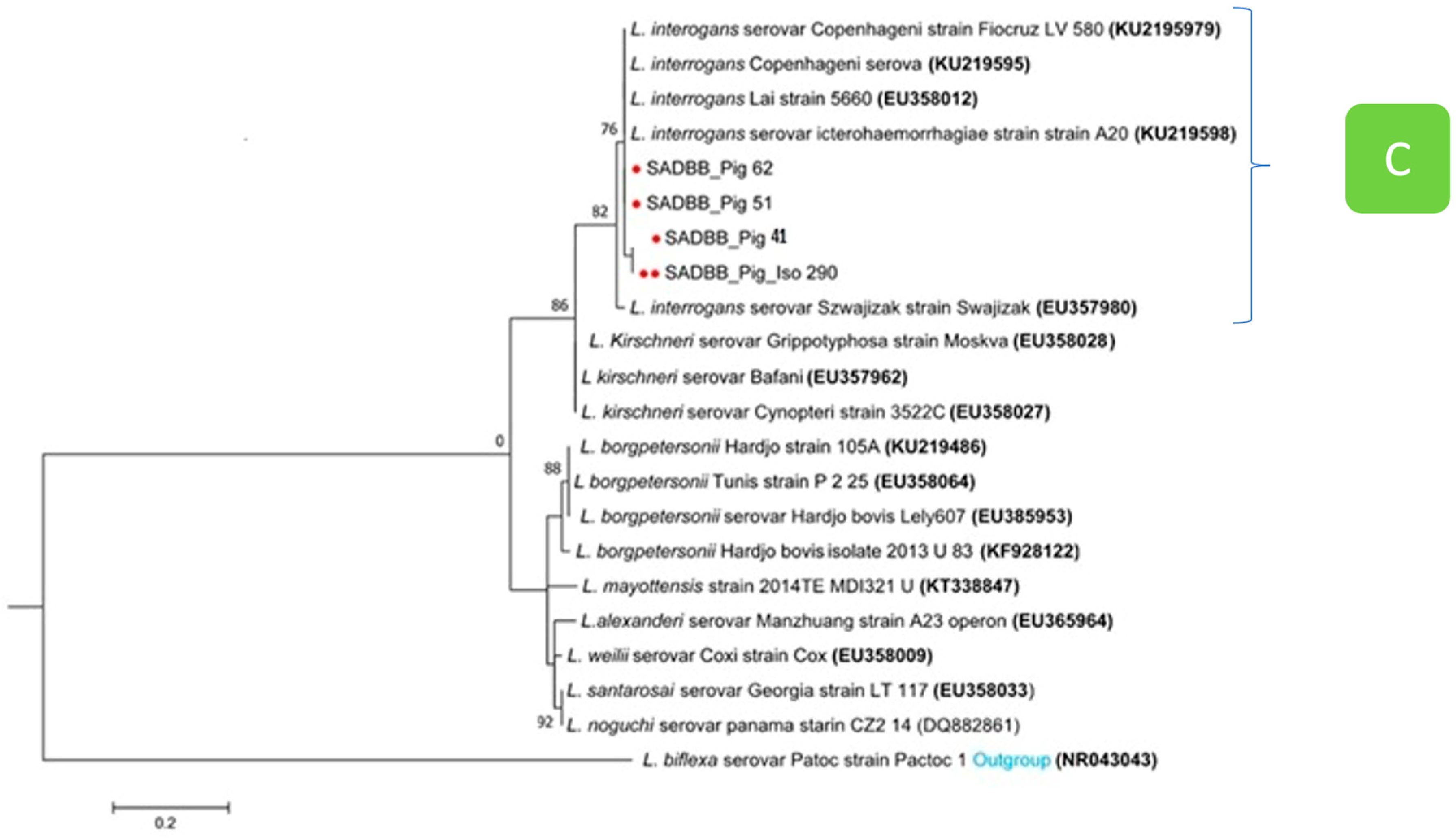 Pathogens 12 00666 g004